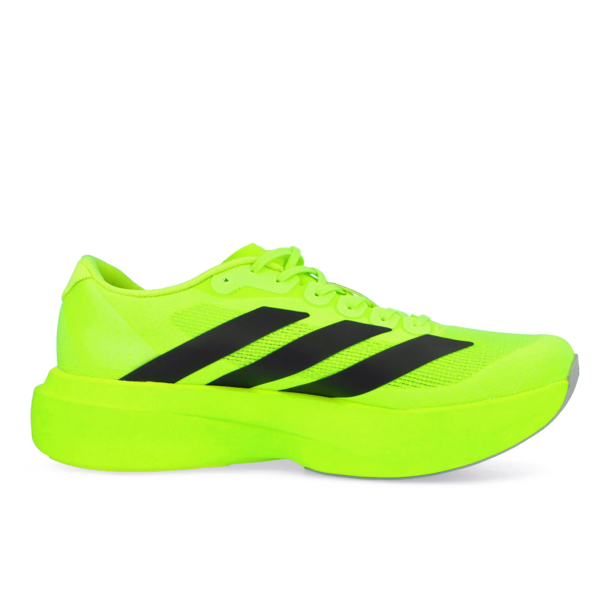 adizero Evo SL M - Image 2