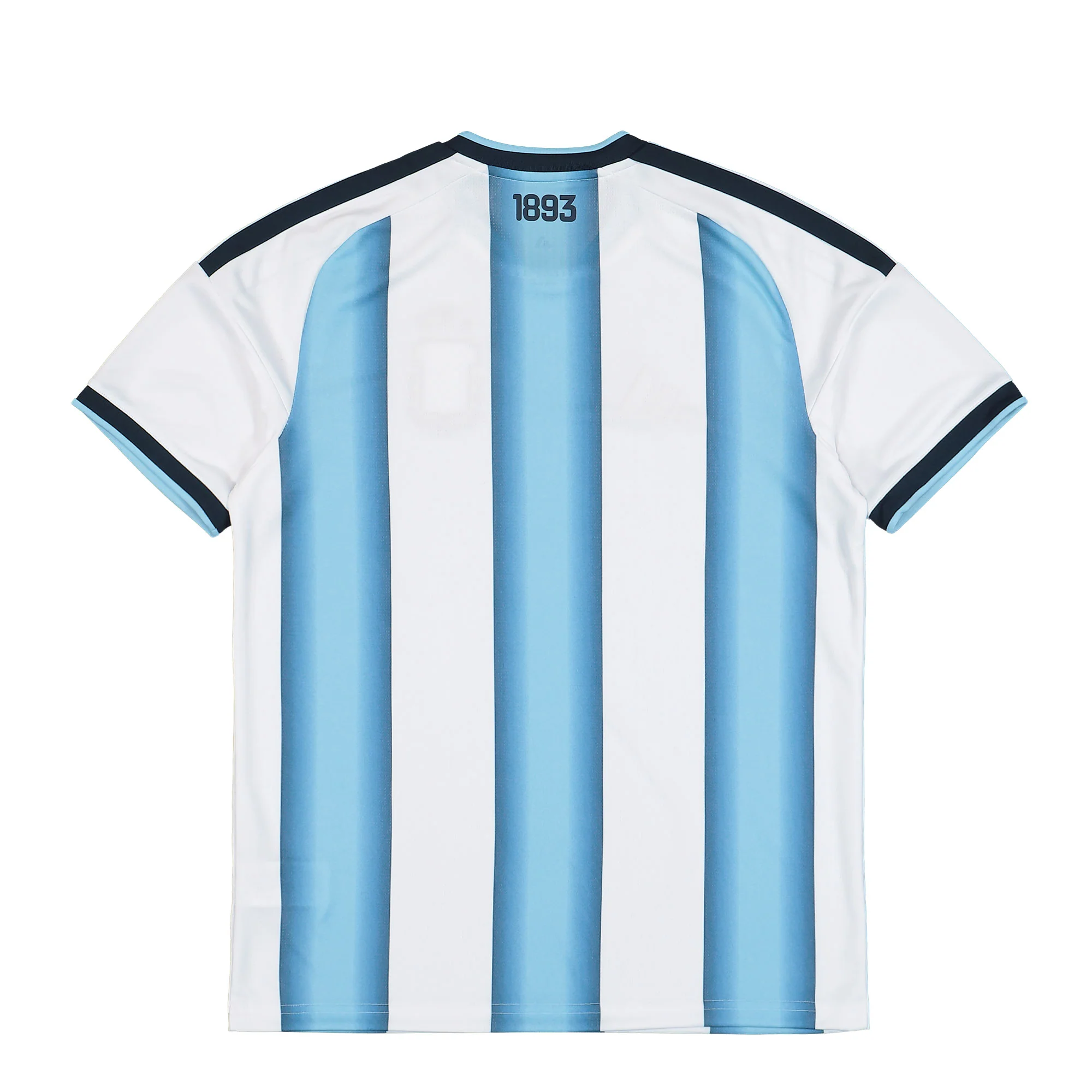 AFA Argentina Home Jersey - Image 2