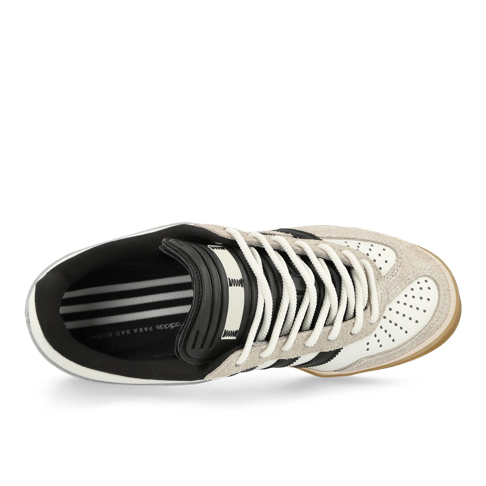 Gazelle Indoor - Image 6