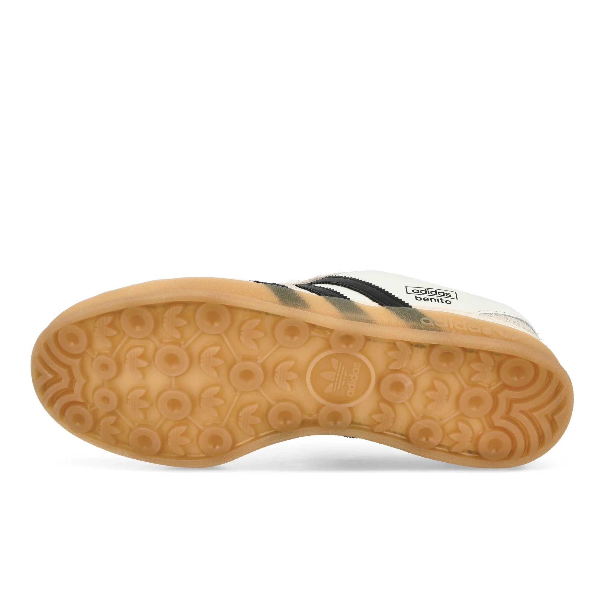 Gazelle Indoor - Image 7