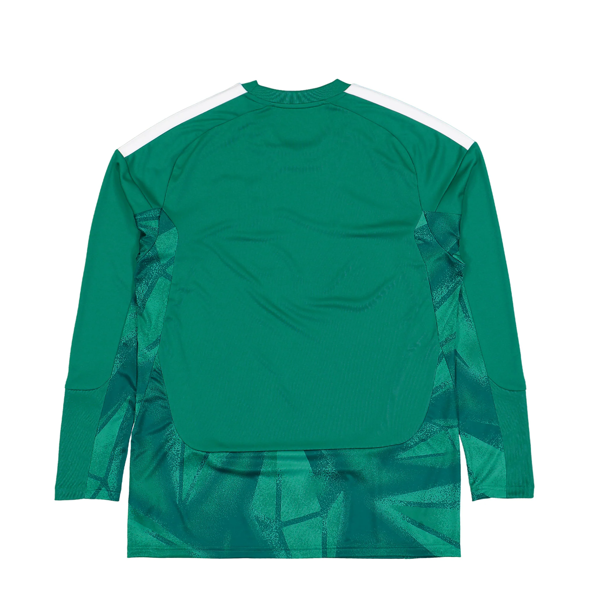 DFB Germany Goalkeeper LS Home Jersey - Image 2