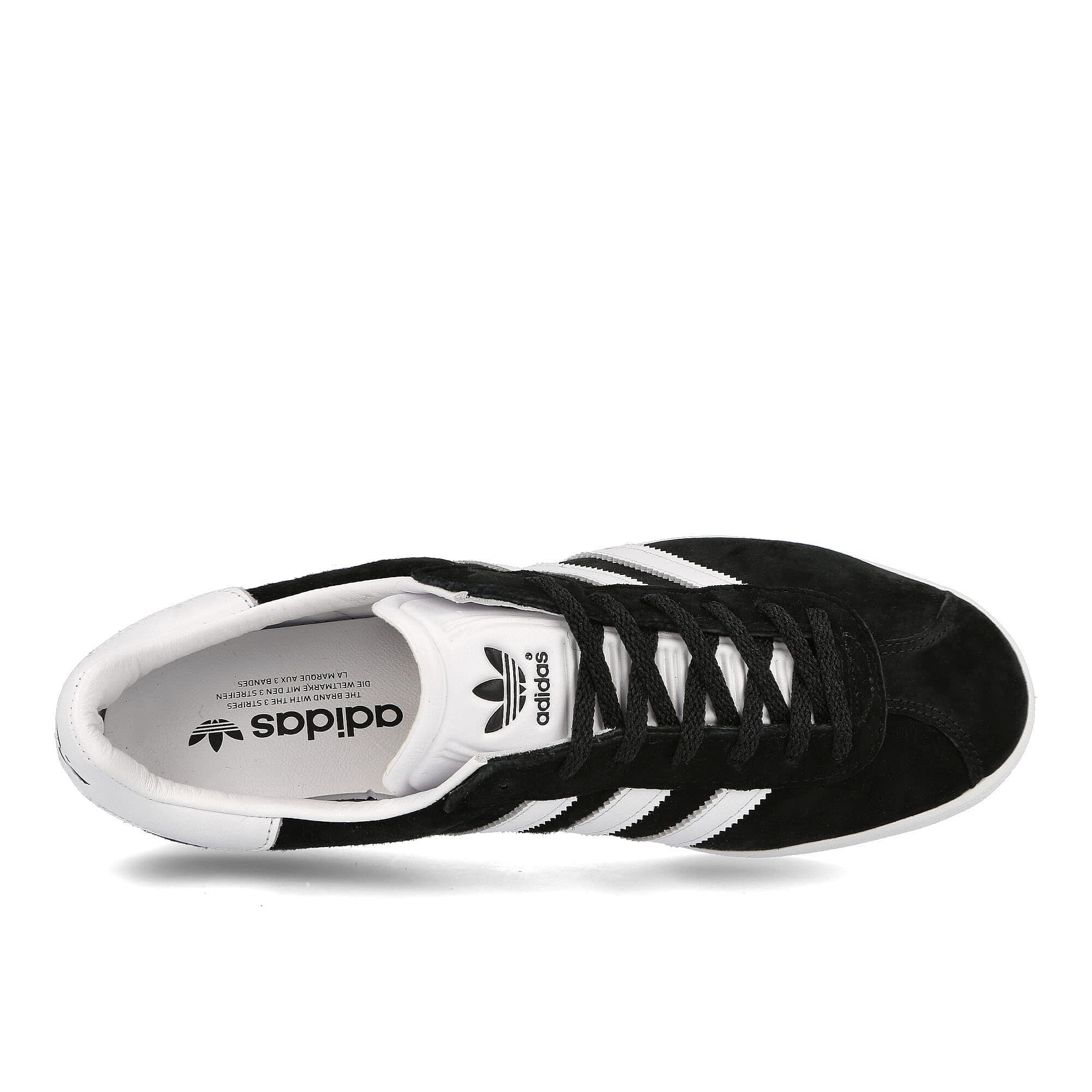 gazelle 85 - Image 5