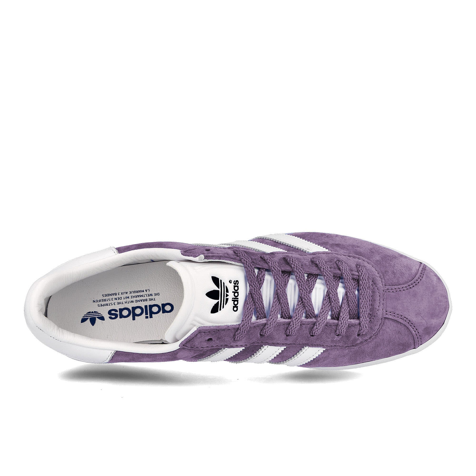 Gazelle 85 - Image 5