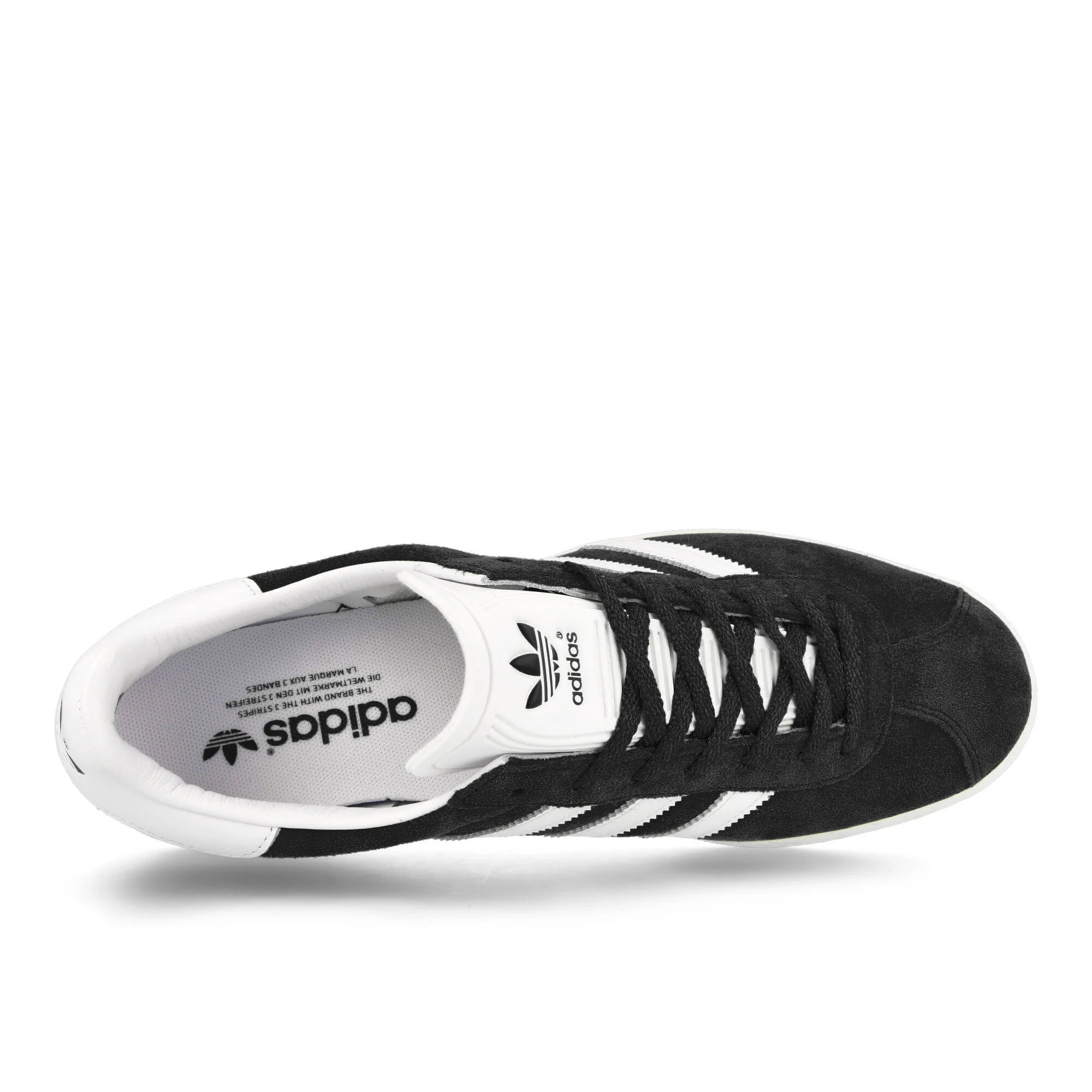 Gazelle 85 - Image 5