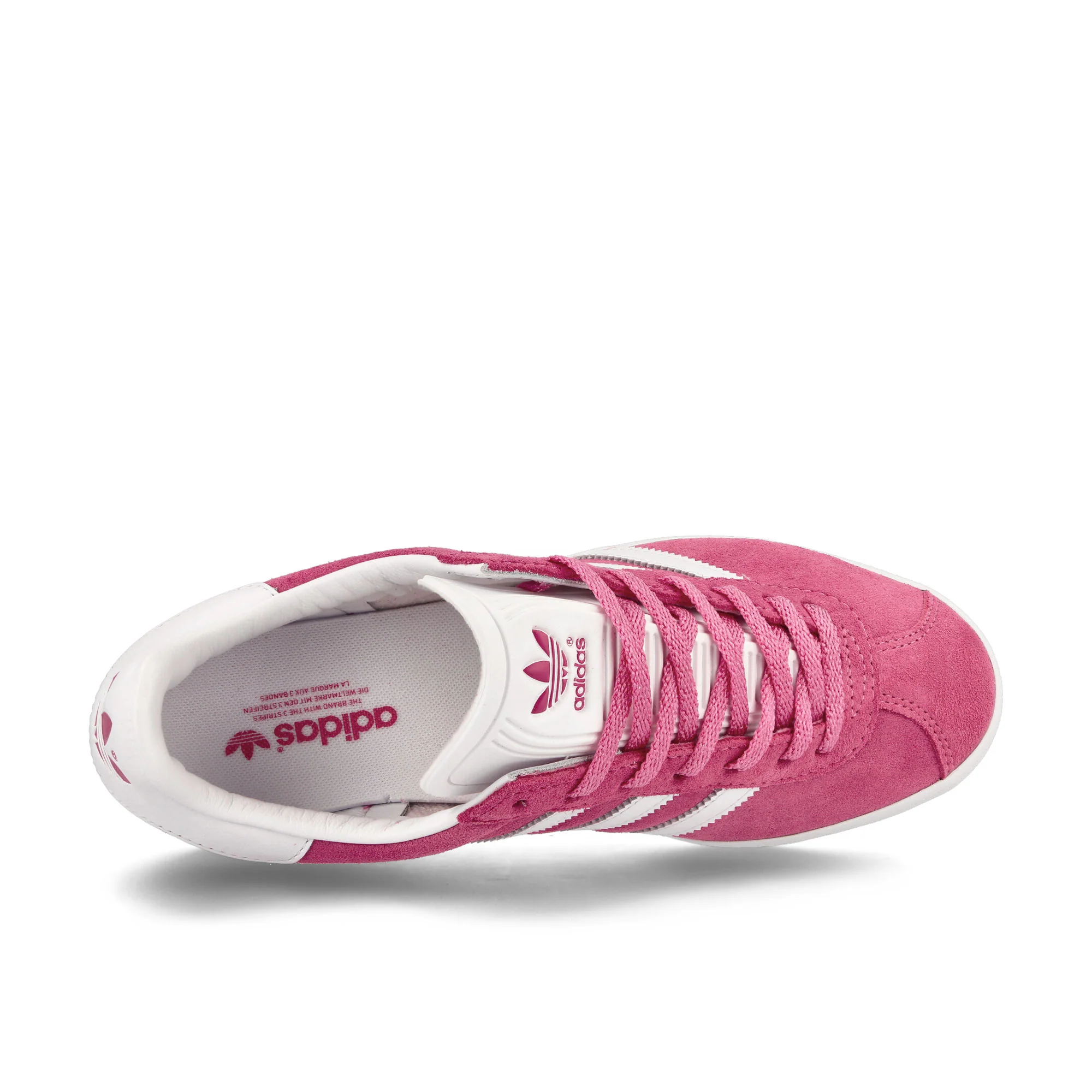 Gazelle 85 - Image 5