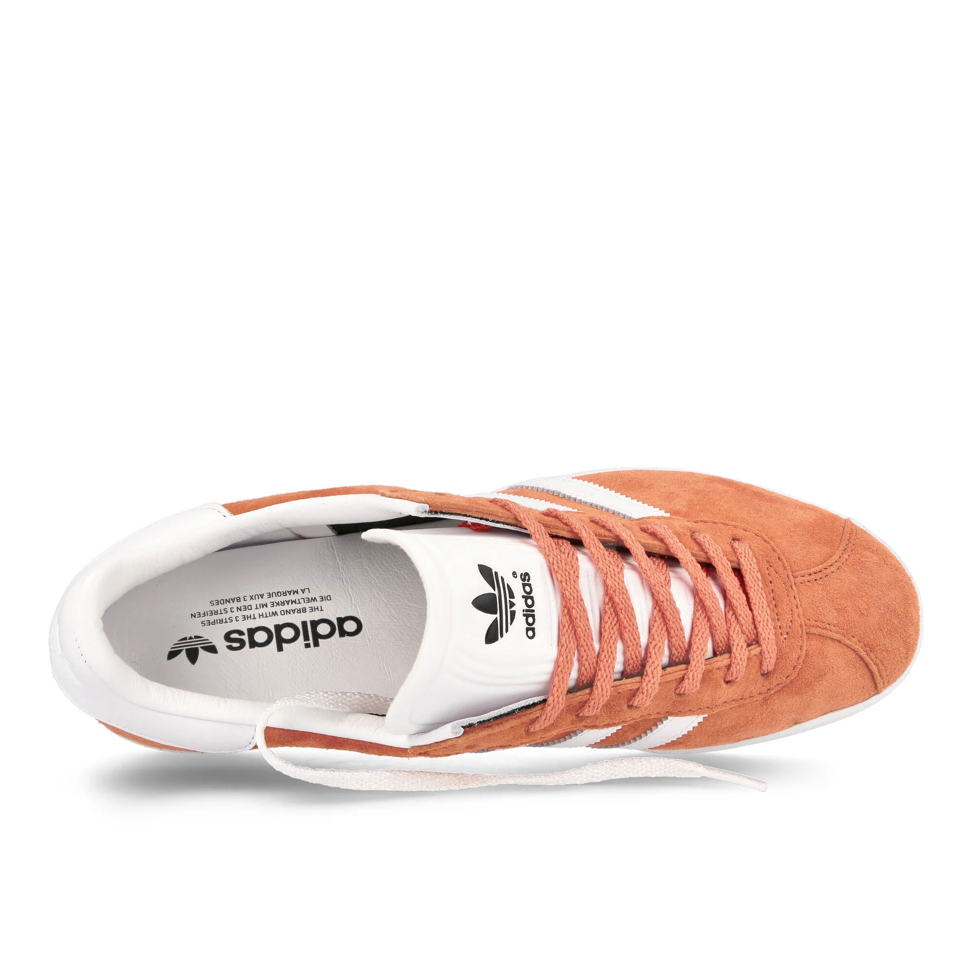 Gazelle 85 - Image 5