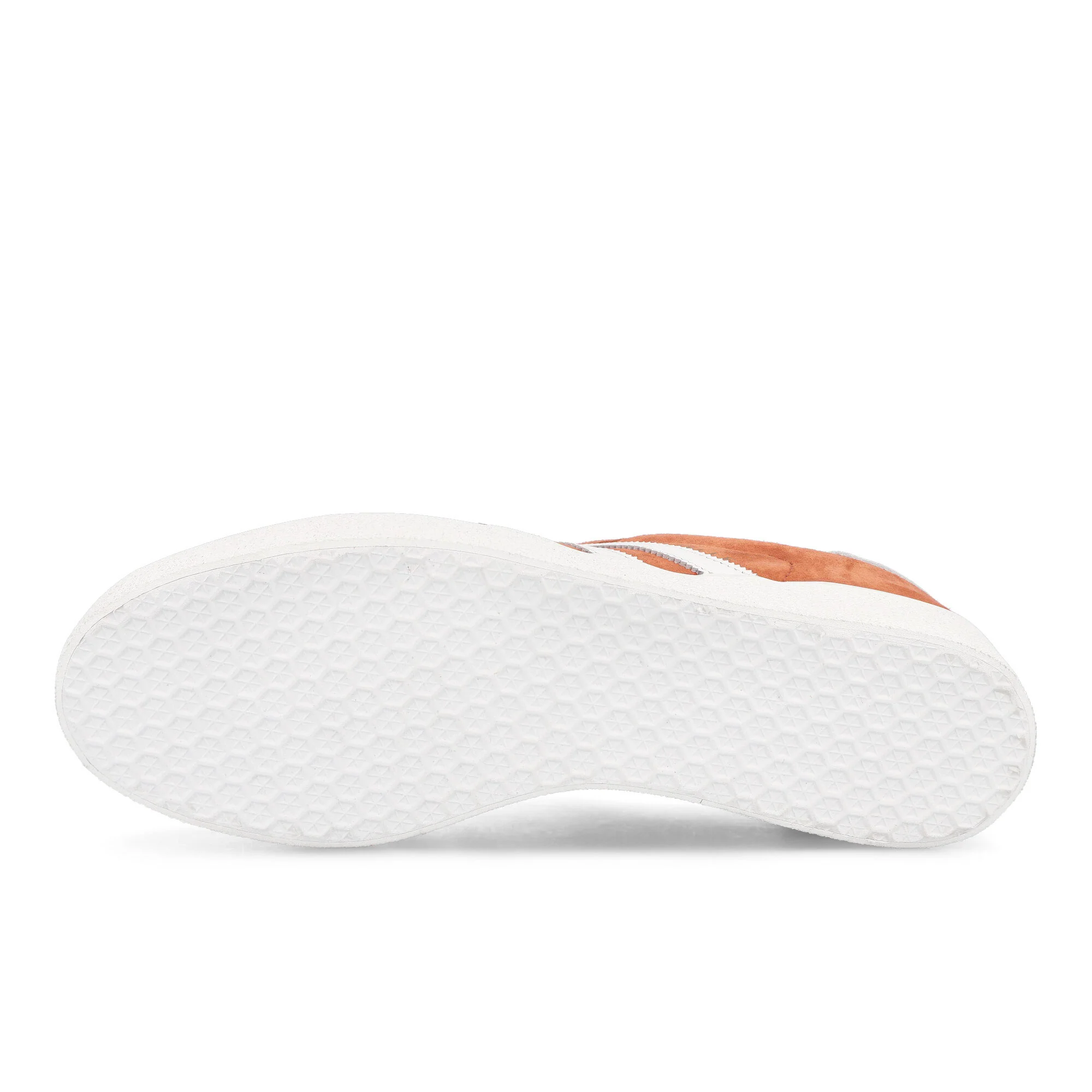 Gazelle 85 - Image 6