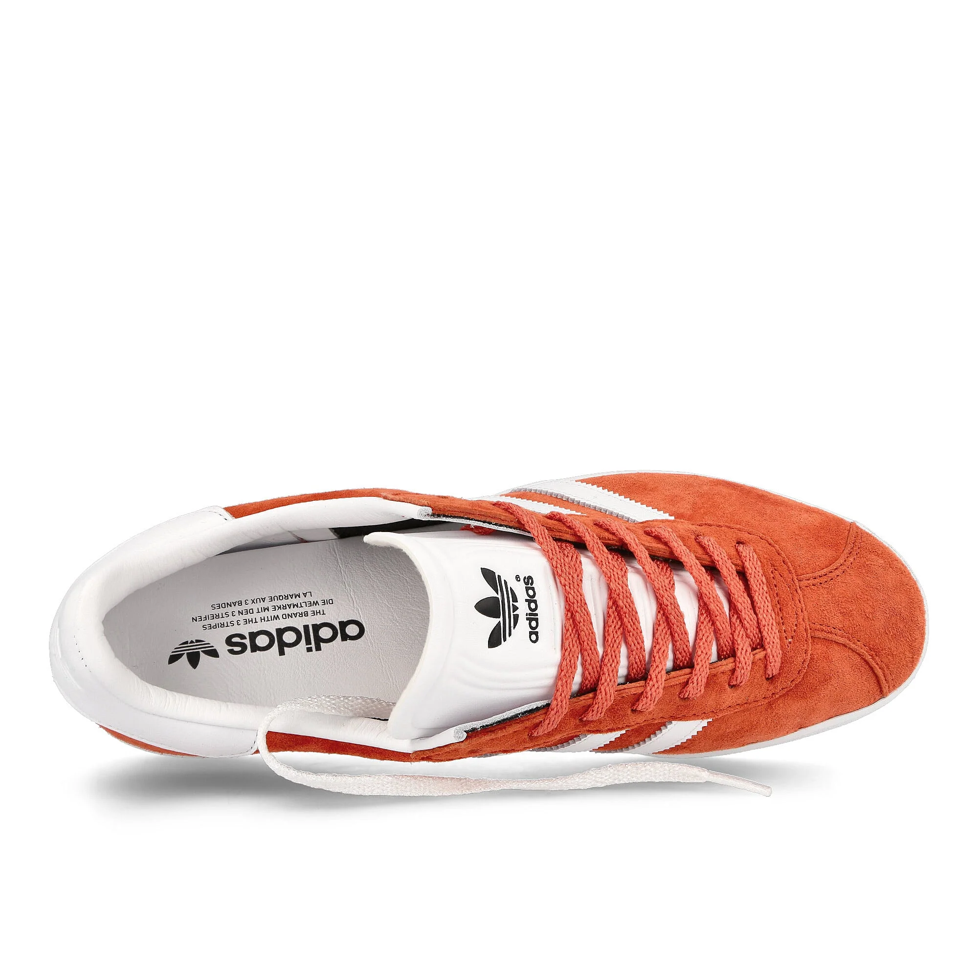 Gazelle 85 - Image 5