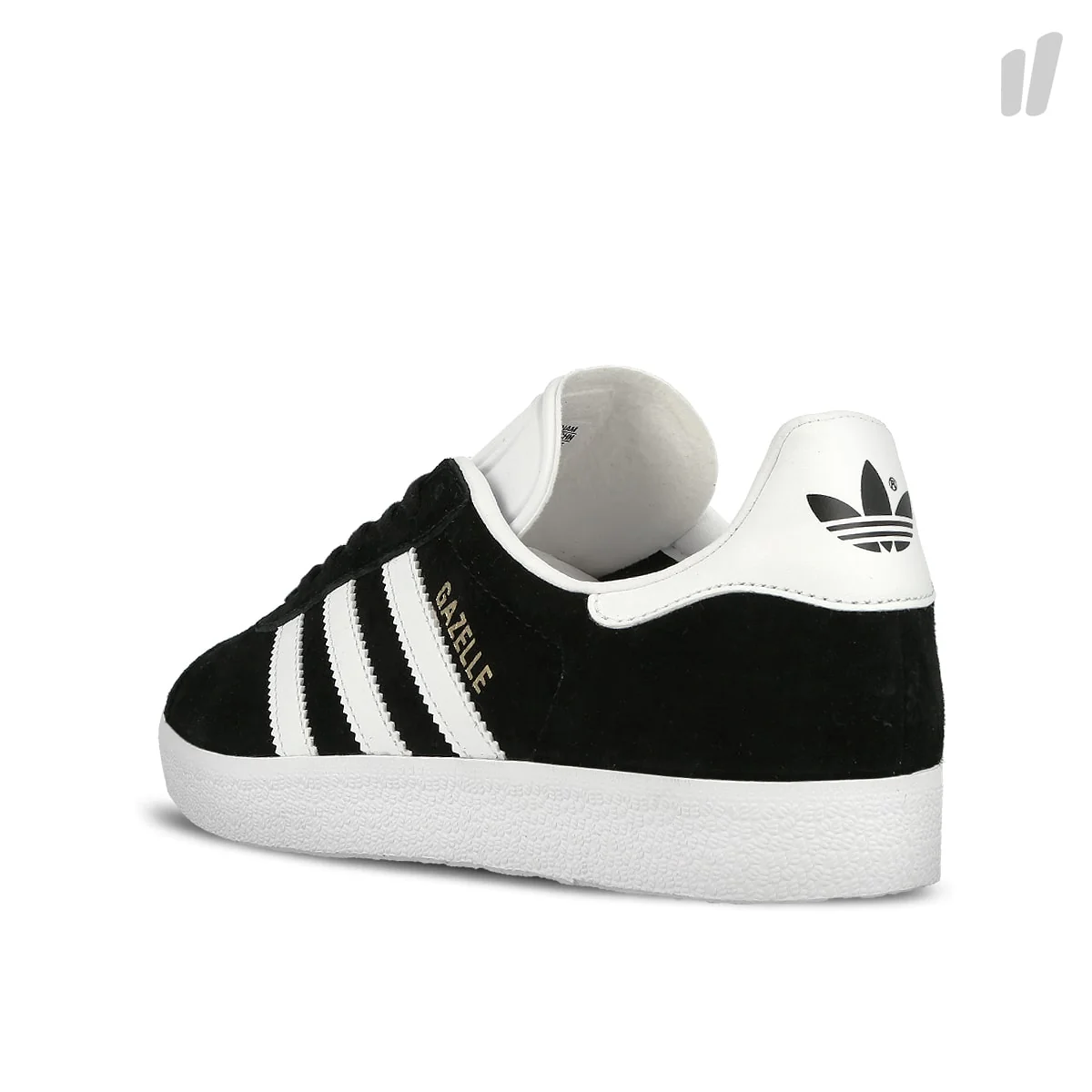 Gazelle - Image 3