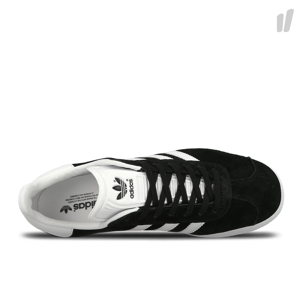 Gazelle - Image 5