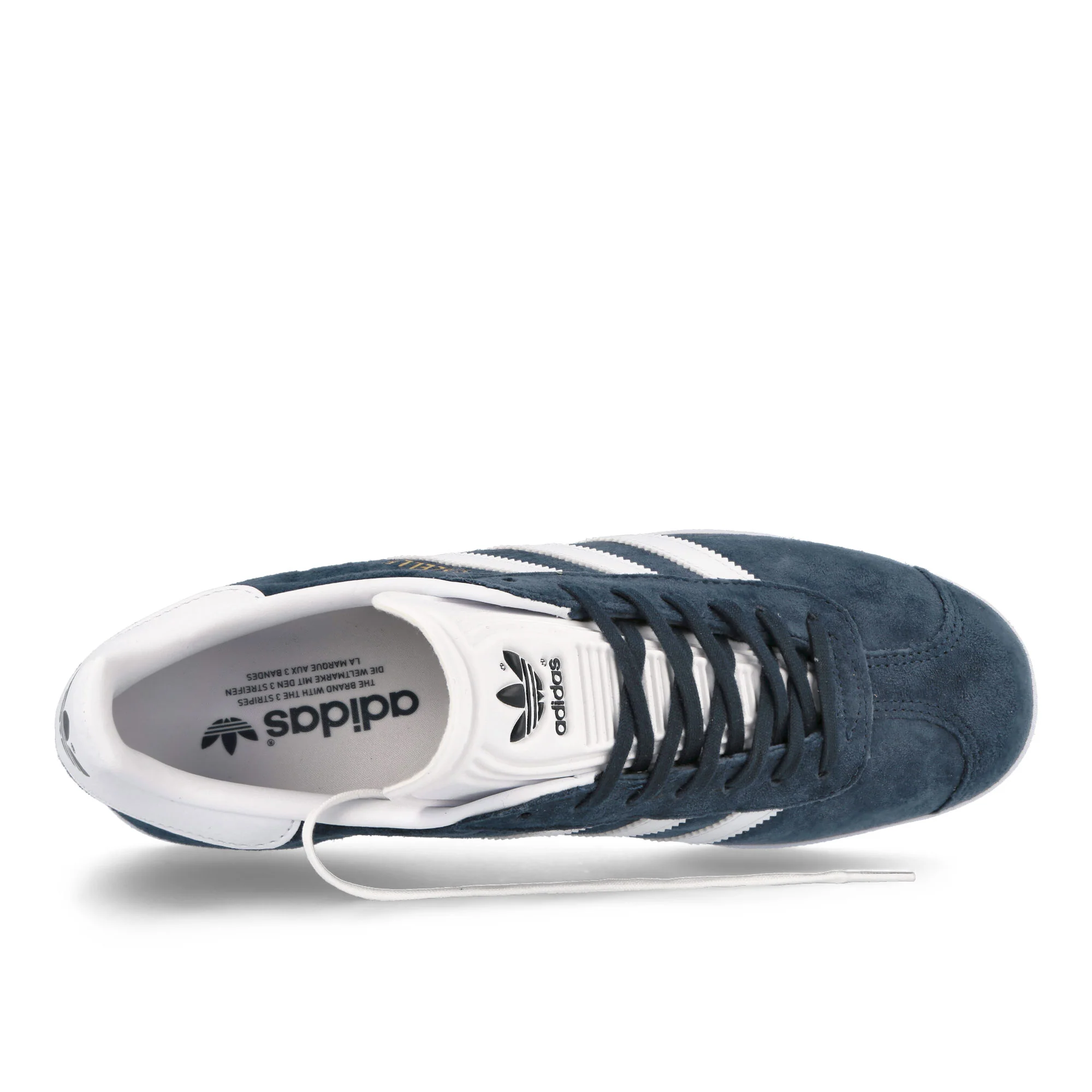 Gazelle - Image 5