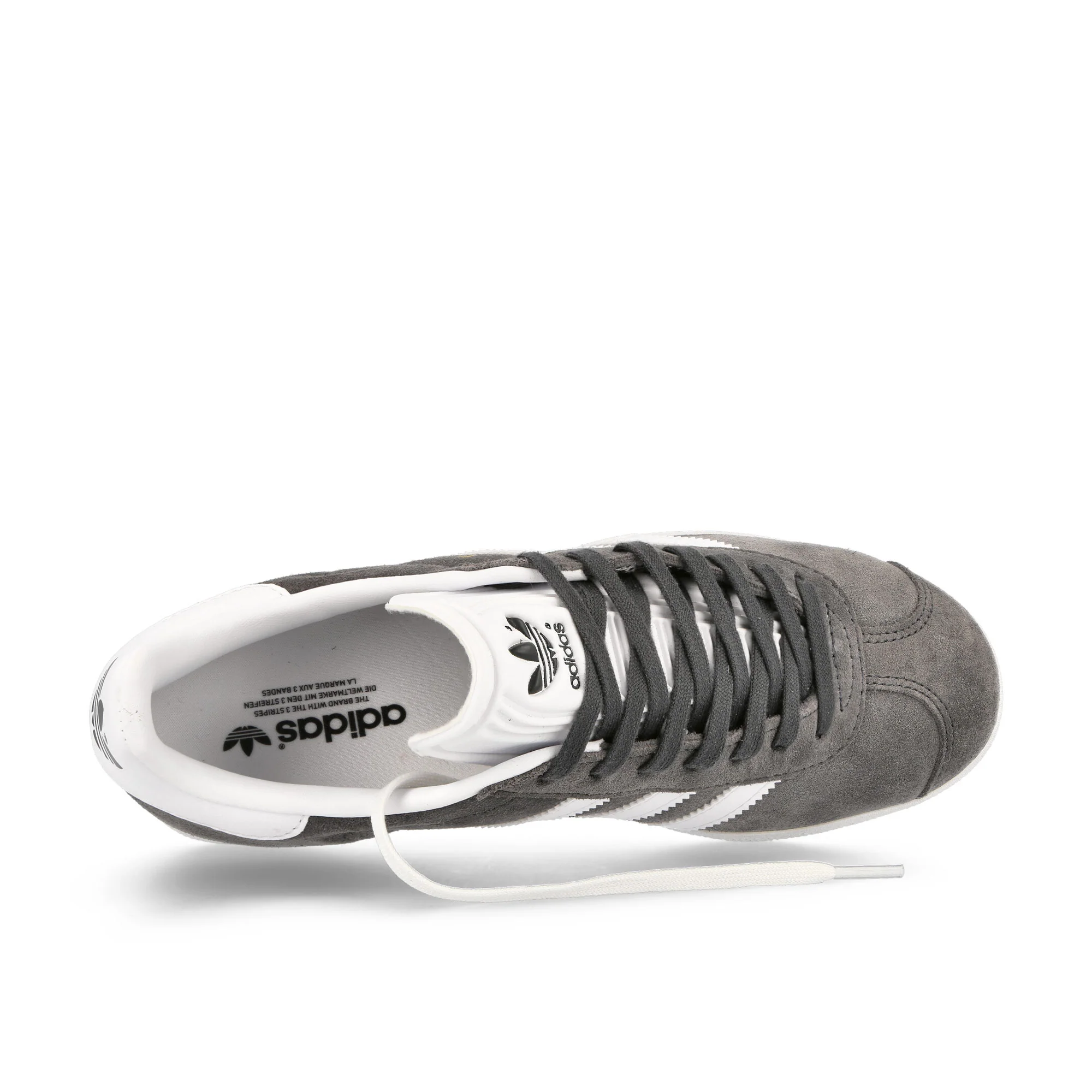 Gazelle - Image 5