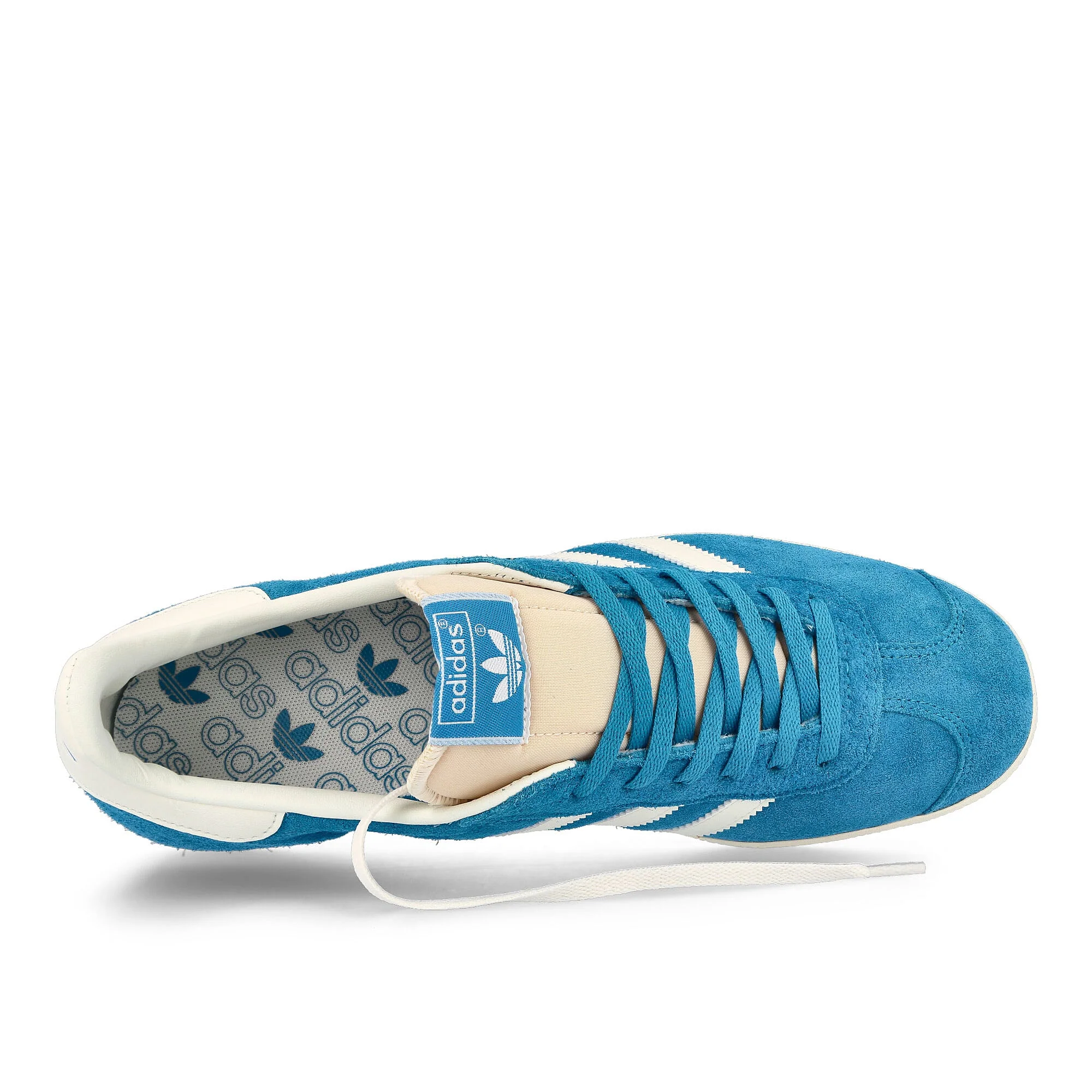Gazelle - Image 5