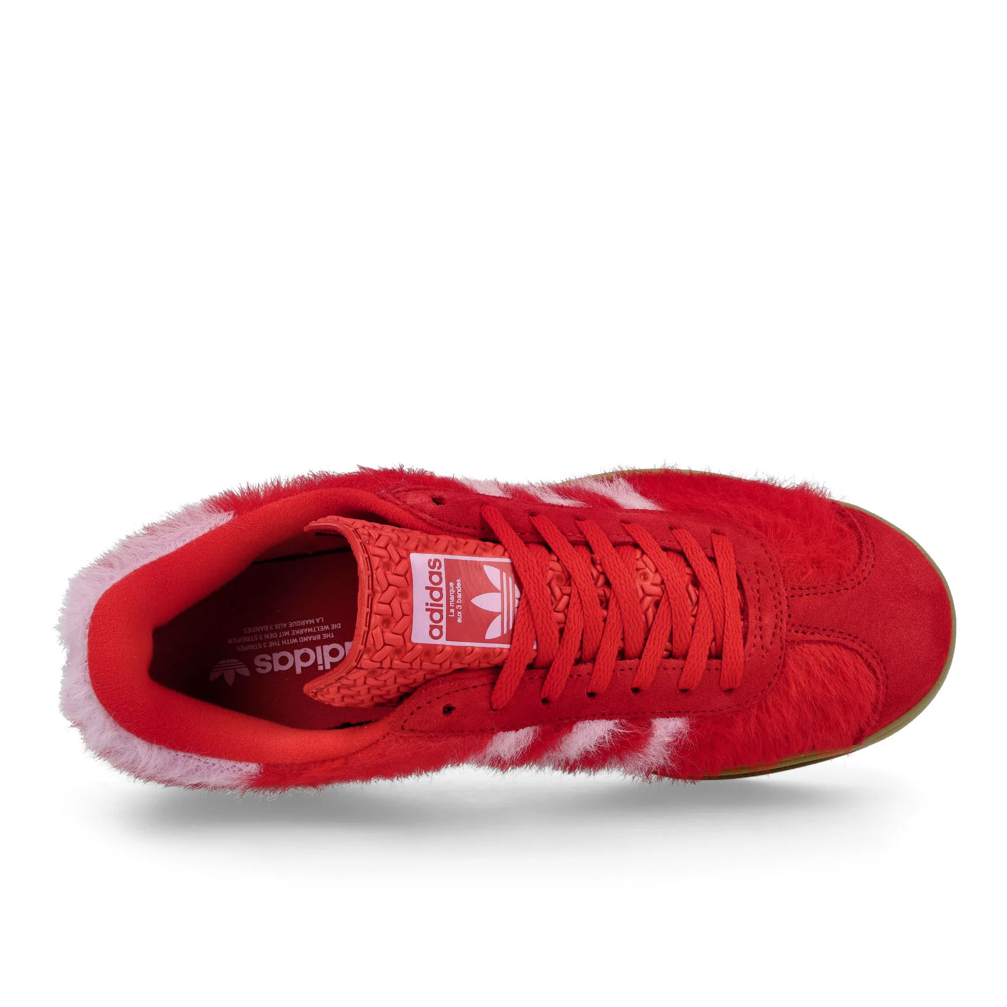 Gazelle Bold W - Image 5