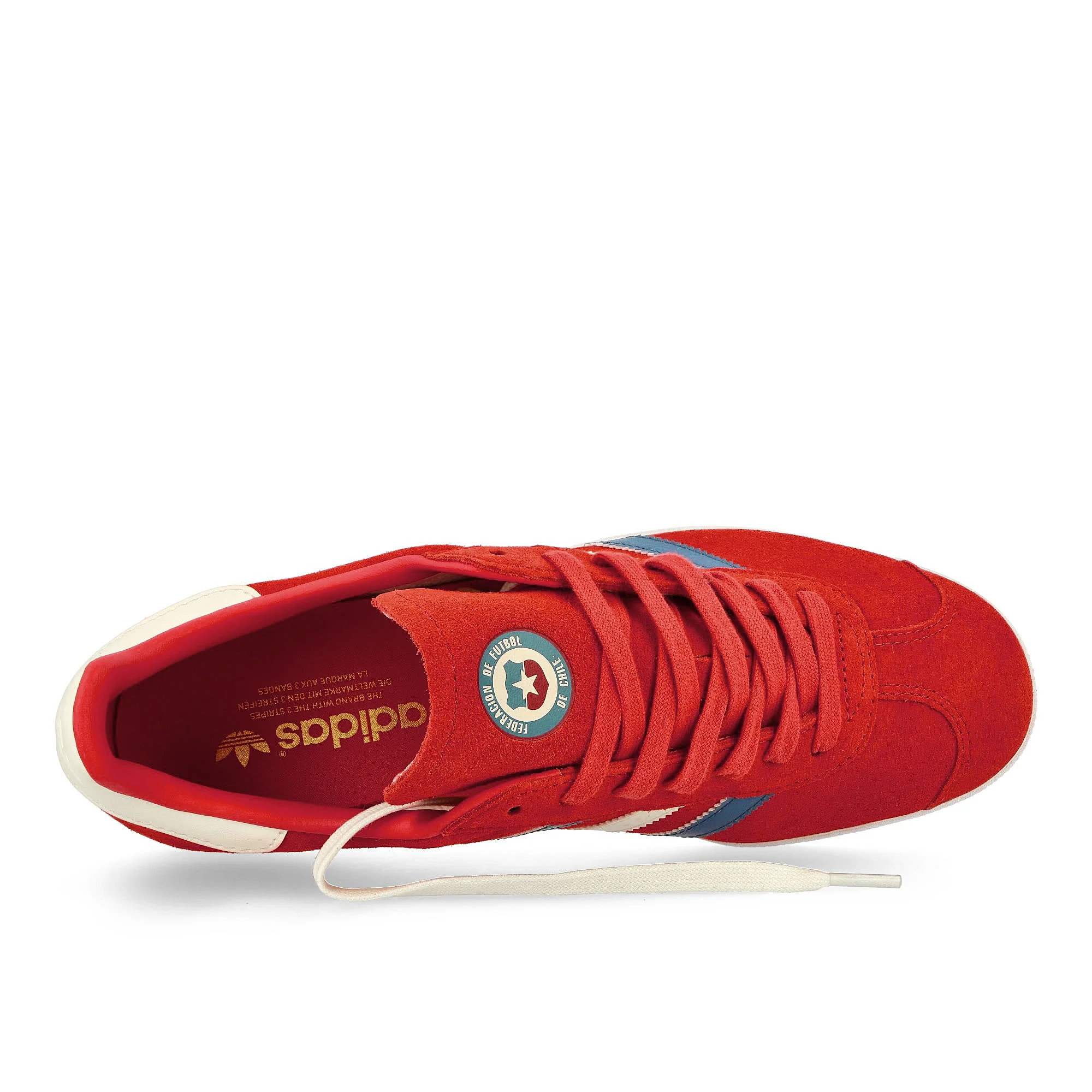 Gazelle Chile - Image 5