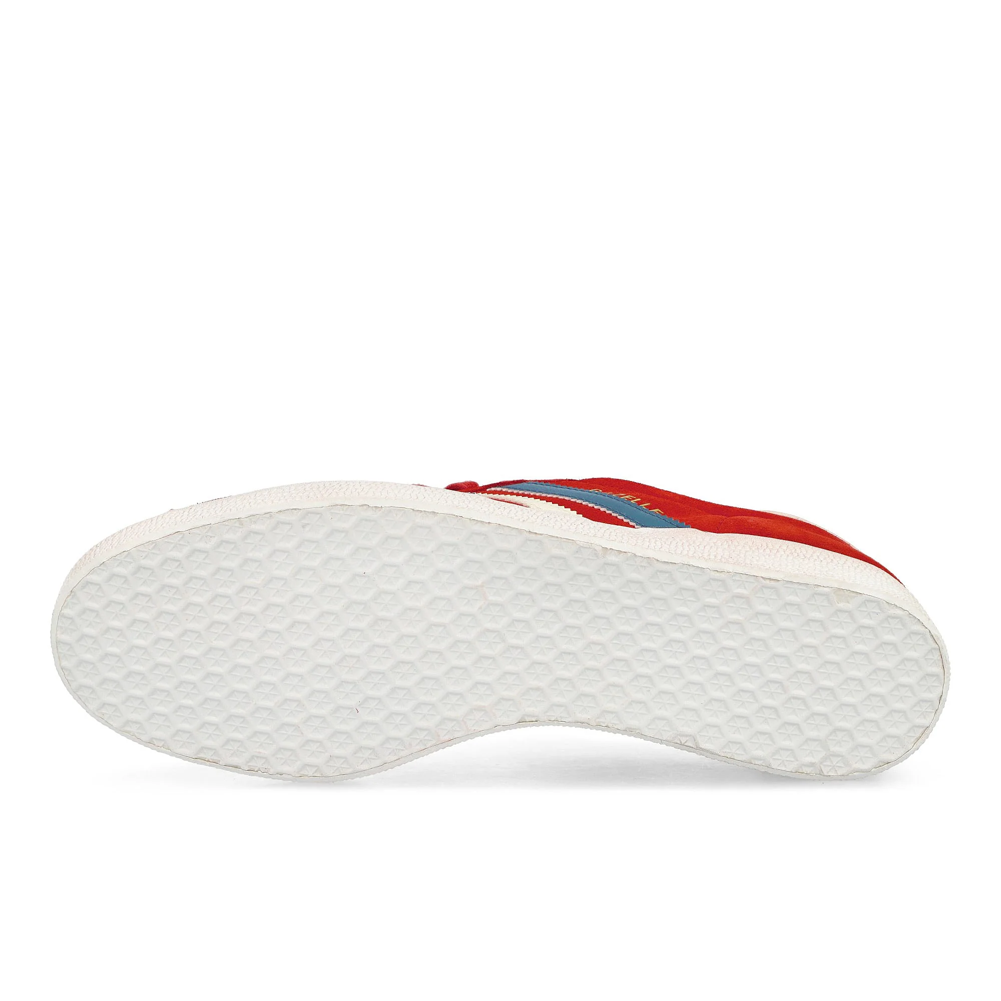 Gazelle Chile - Image 6