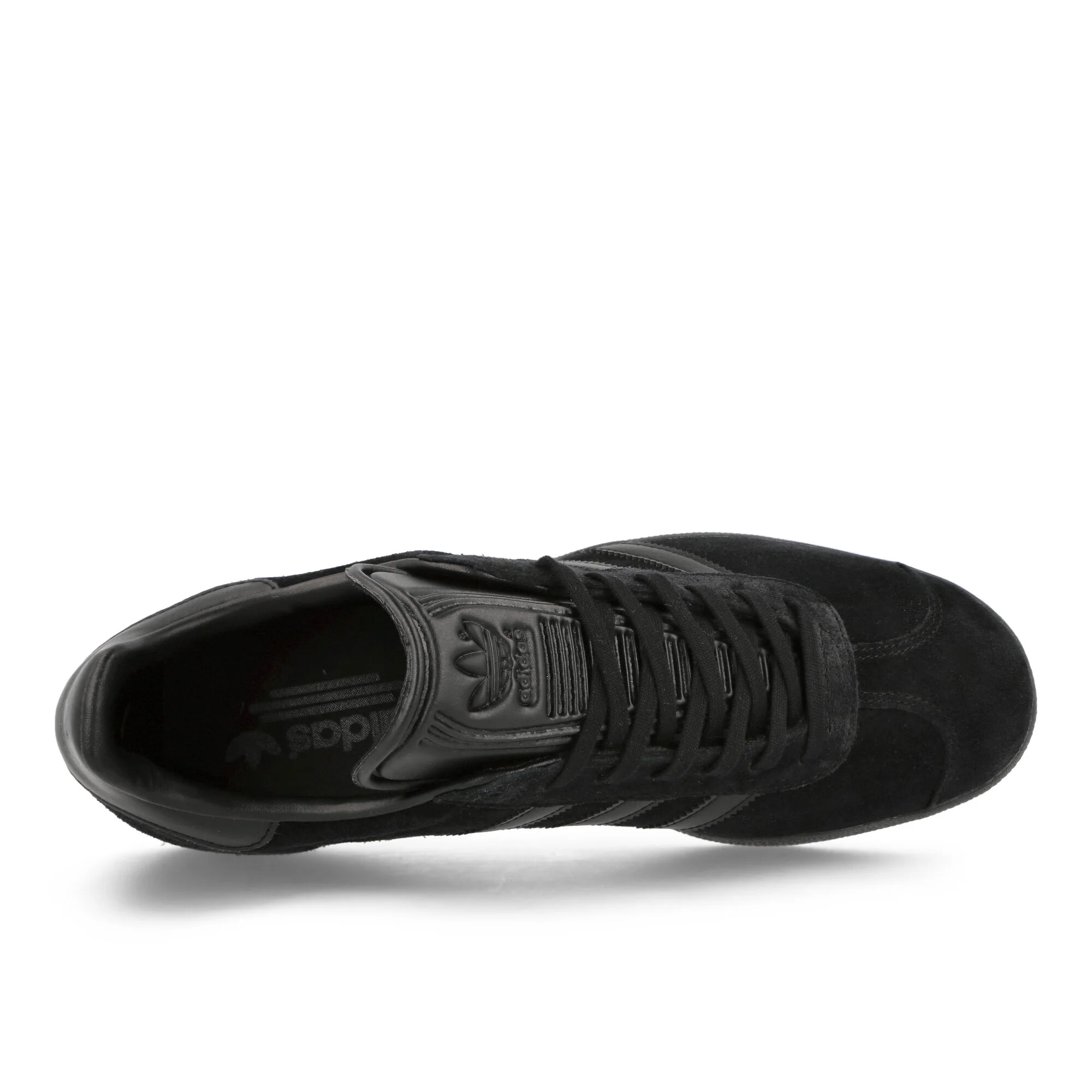 Gazelle - Image 5