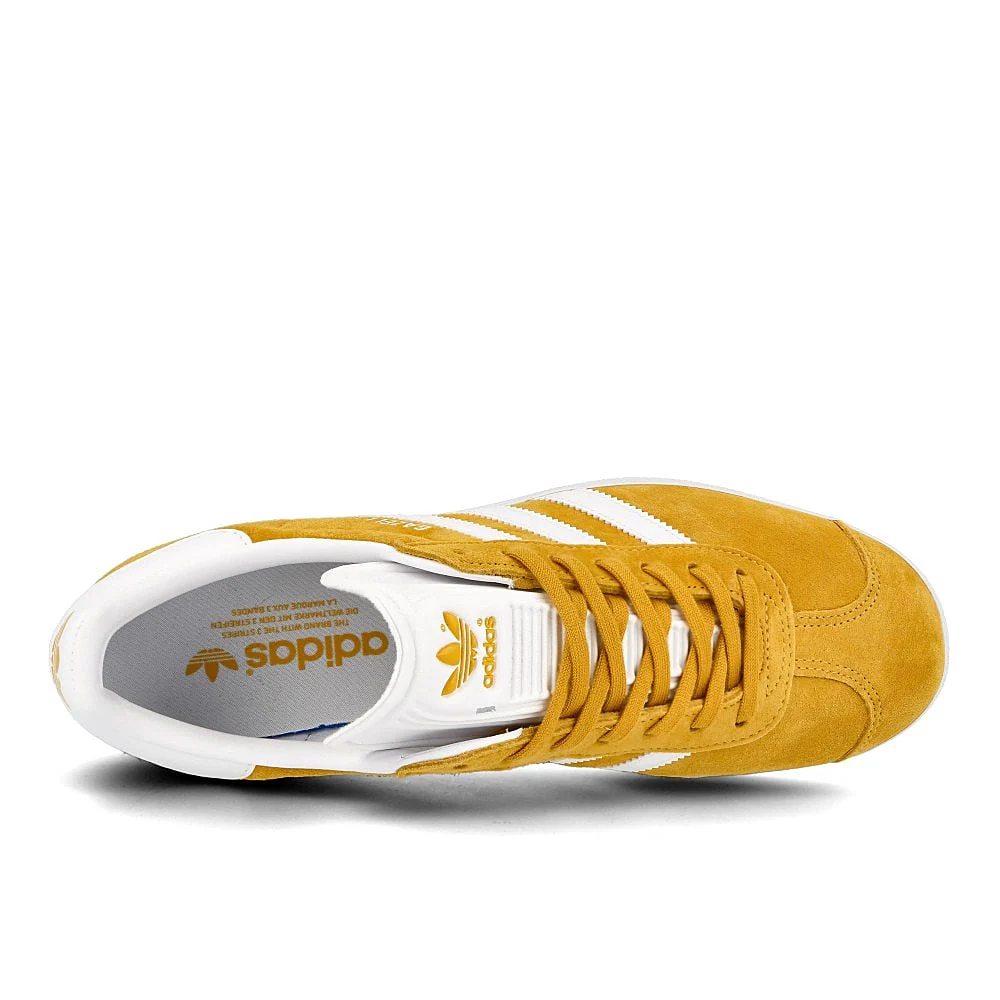 gazelle - Image 5