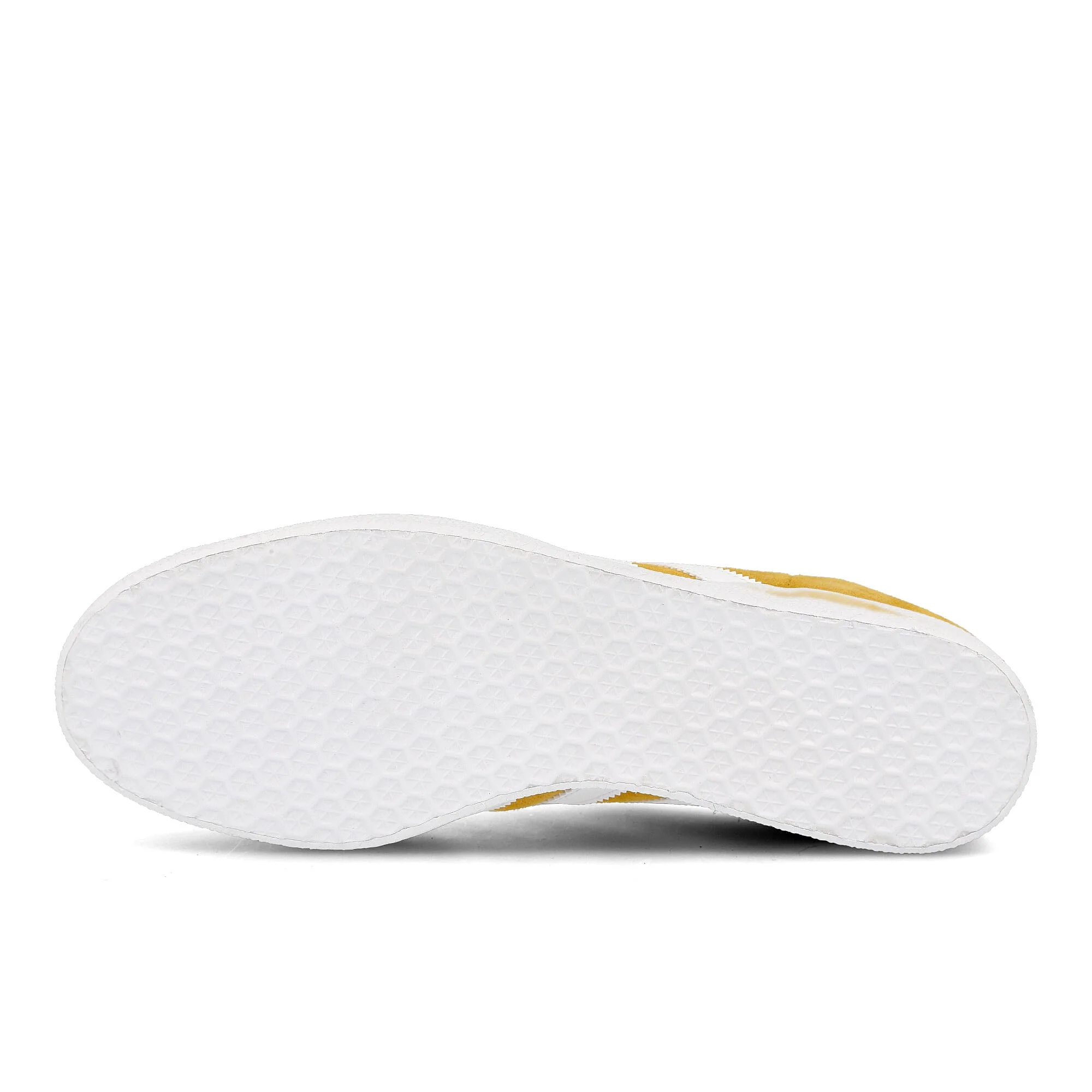 gazelle - Image 6