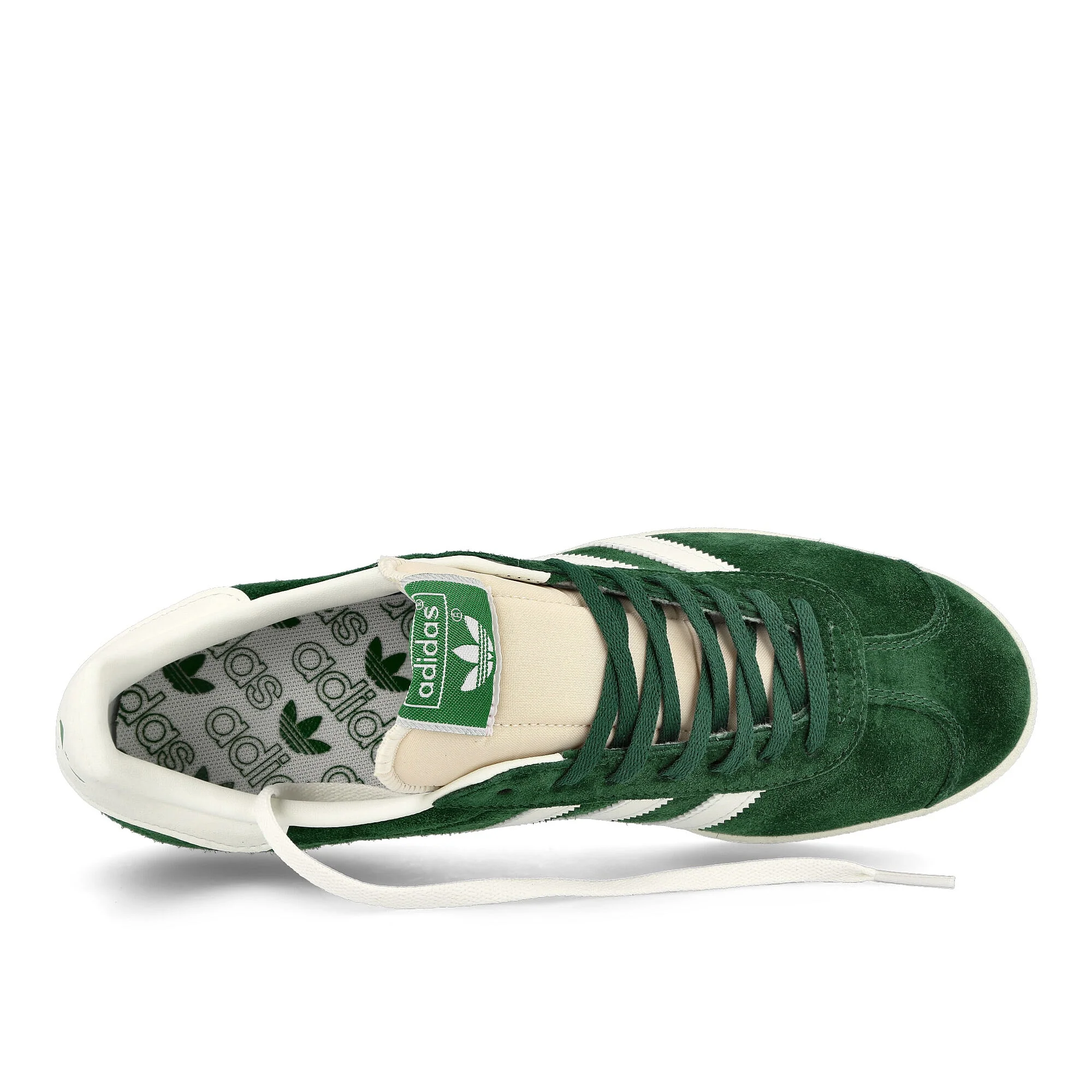 Gazelle - Image 5