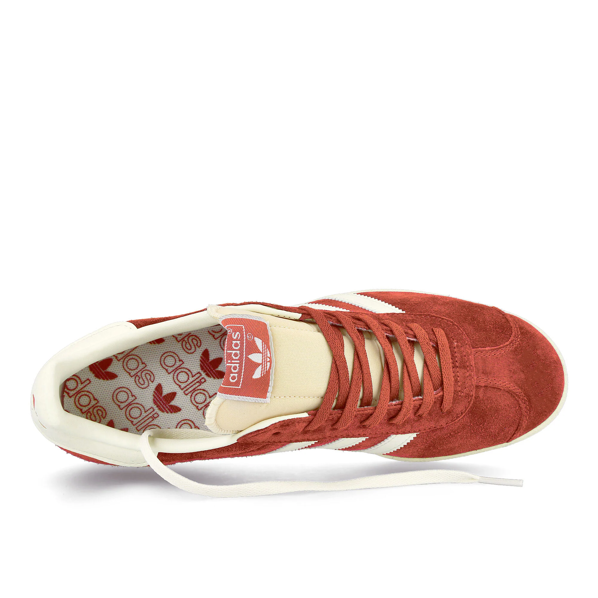 Gazelle - Image 5