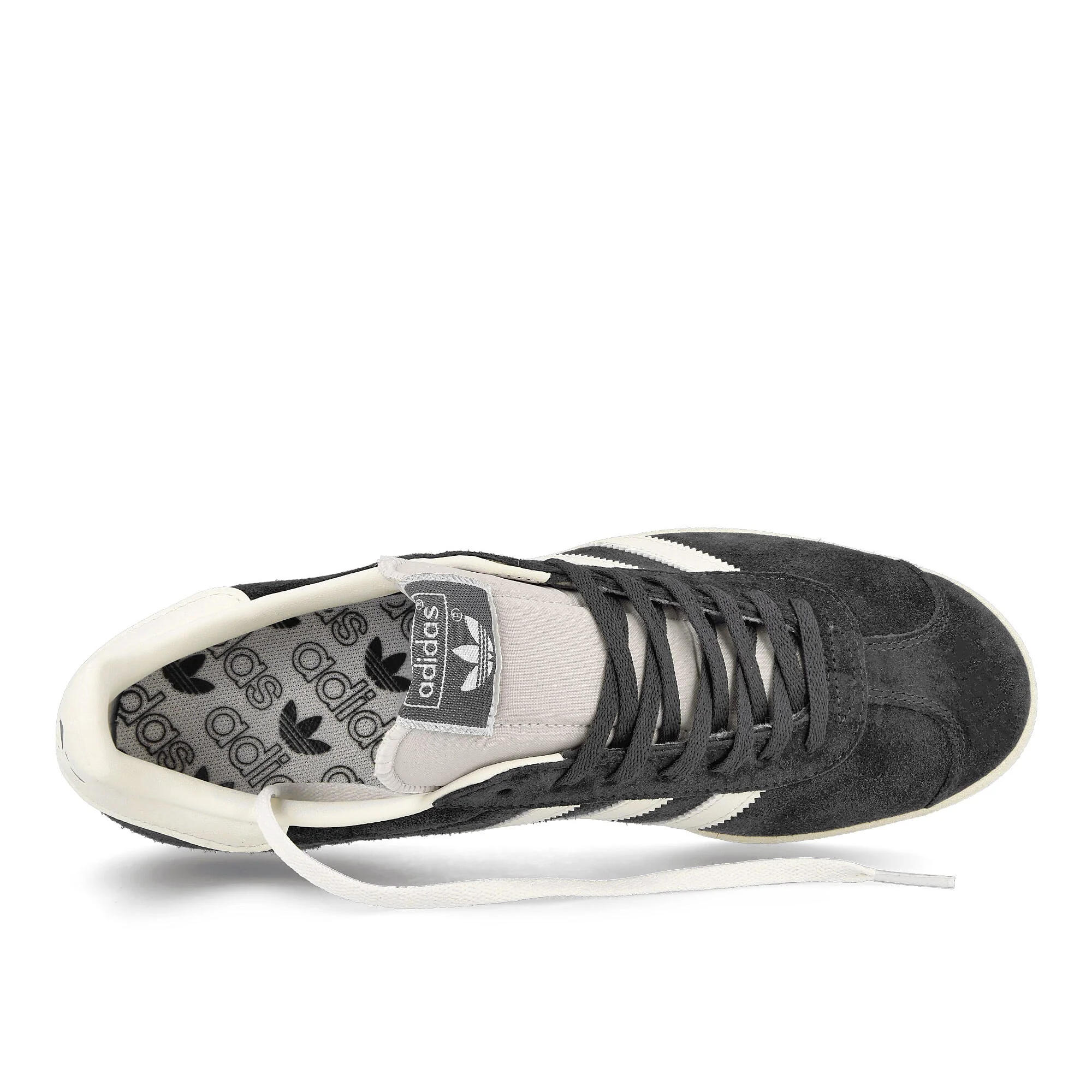Gazelle - Image 5