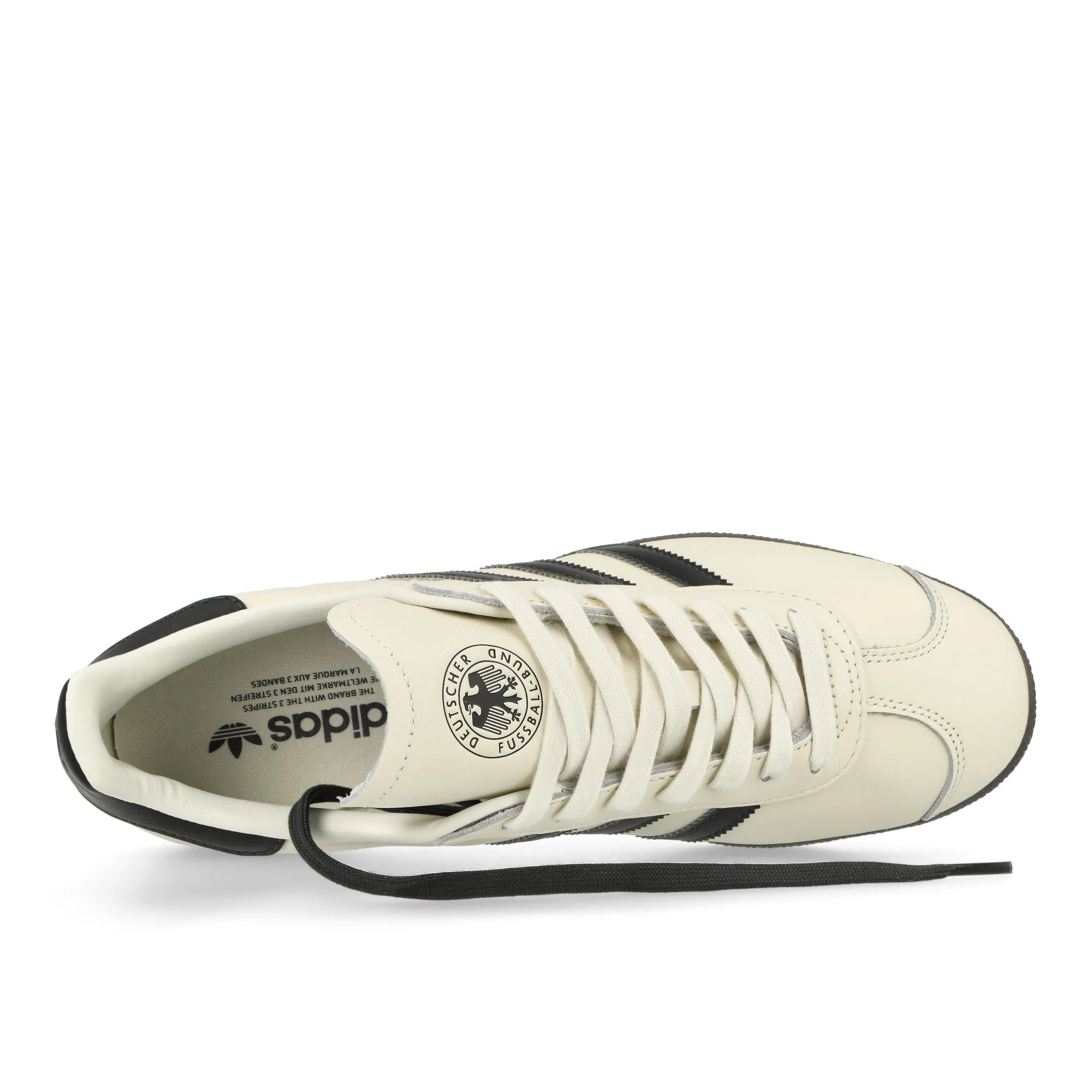 Gazelle - Image 5