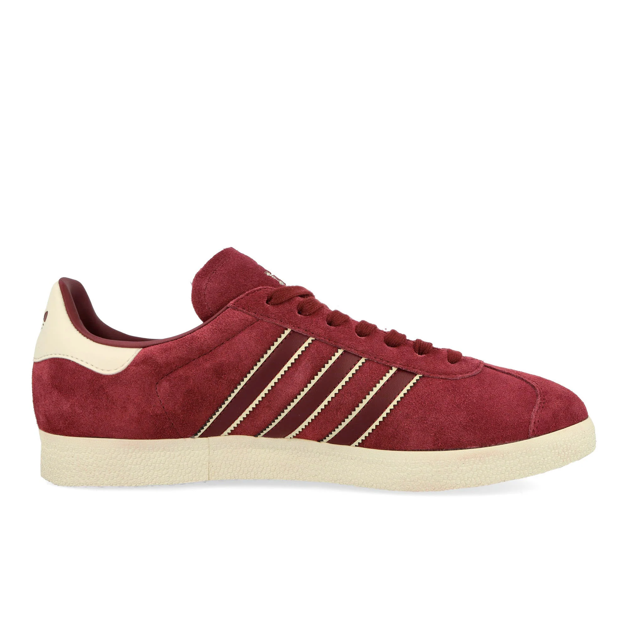 Gazelle - Image 2
