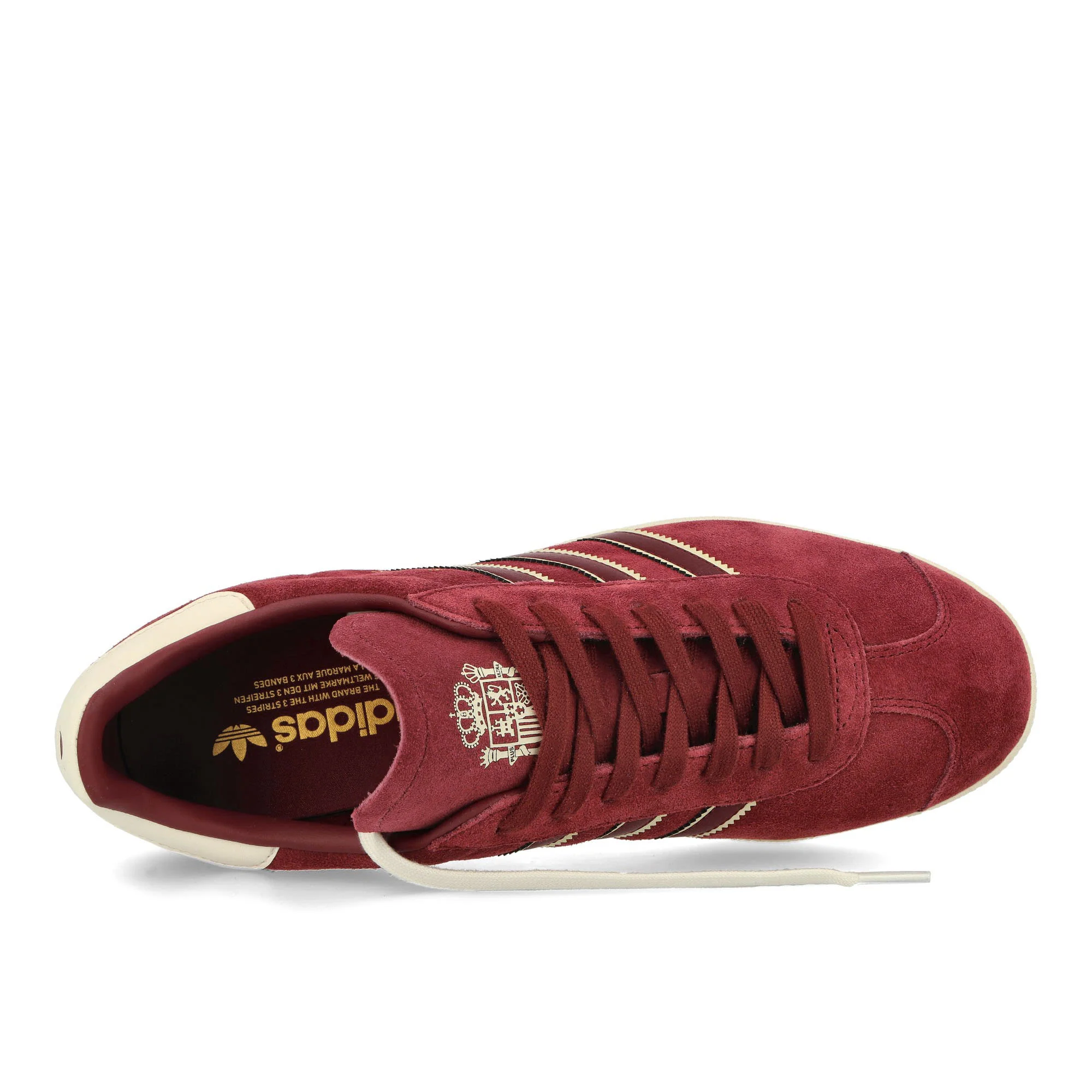 Gazelle - Image 5