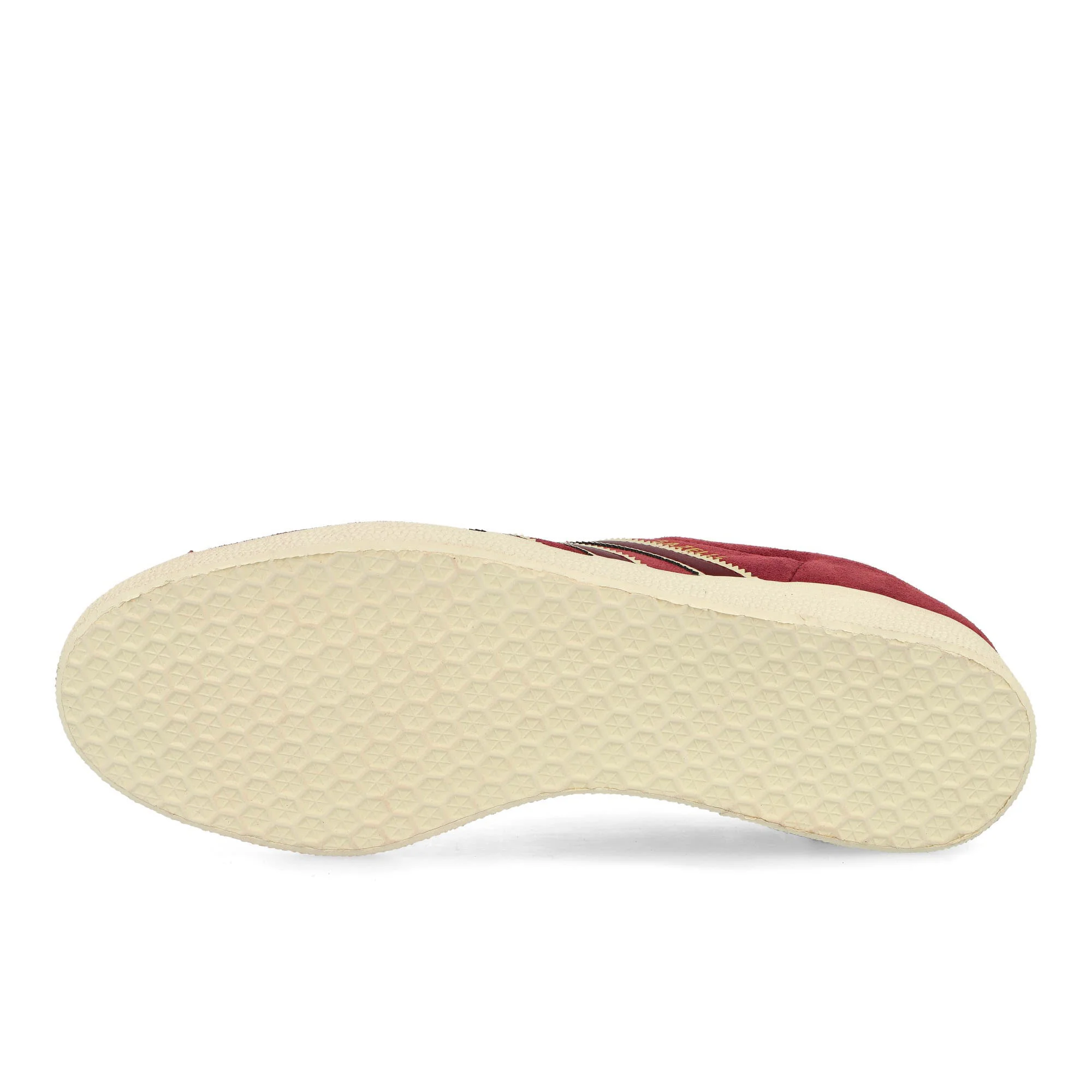 Gazelle - Image 6