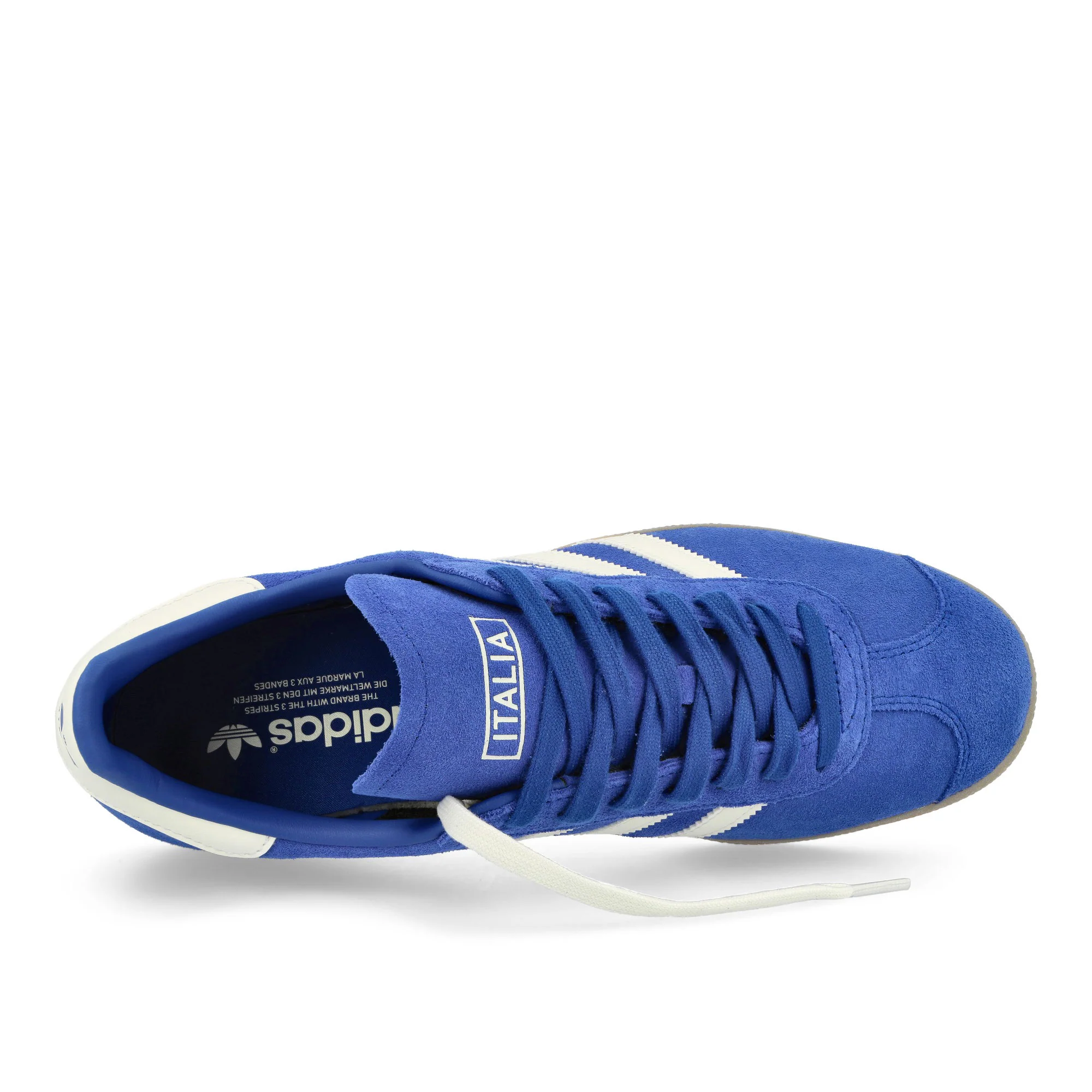Gazelle - Image 5