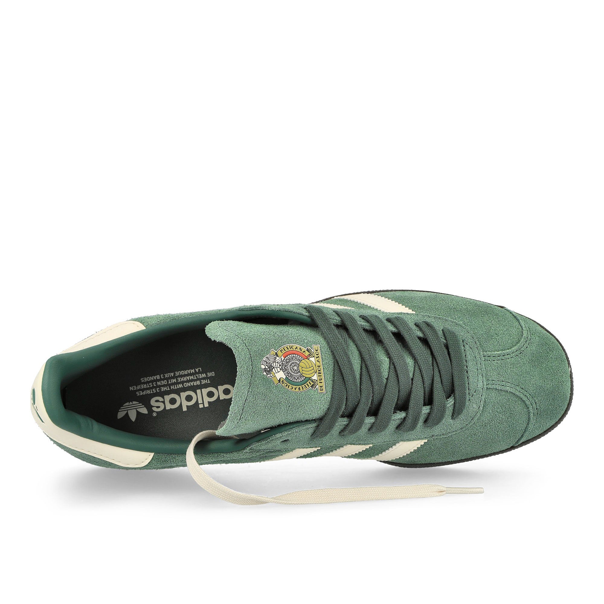 Gazelle - Image 5