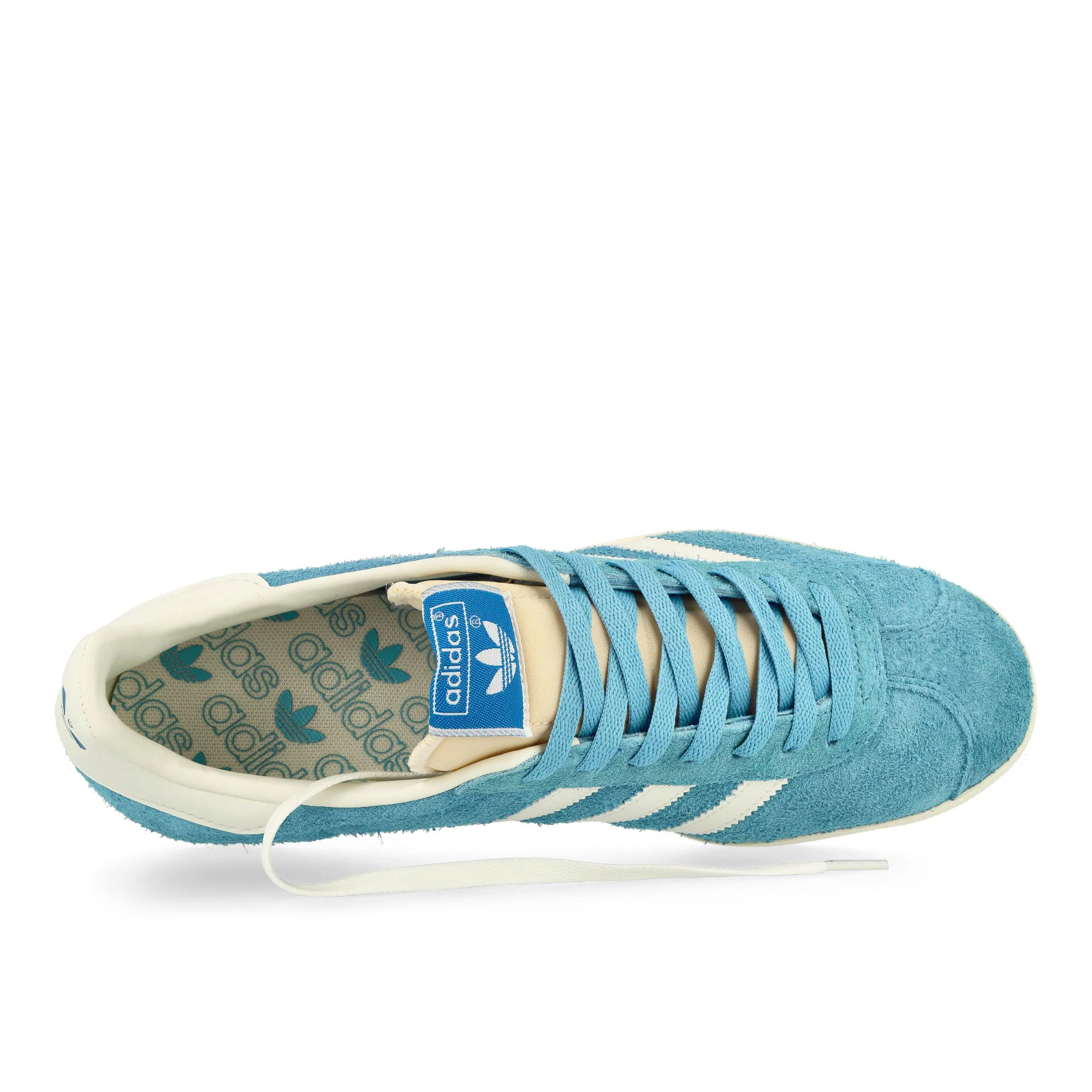 Gazelle - Image 5