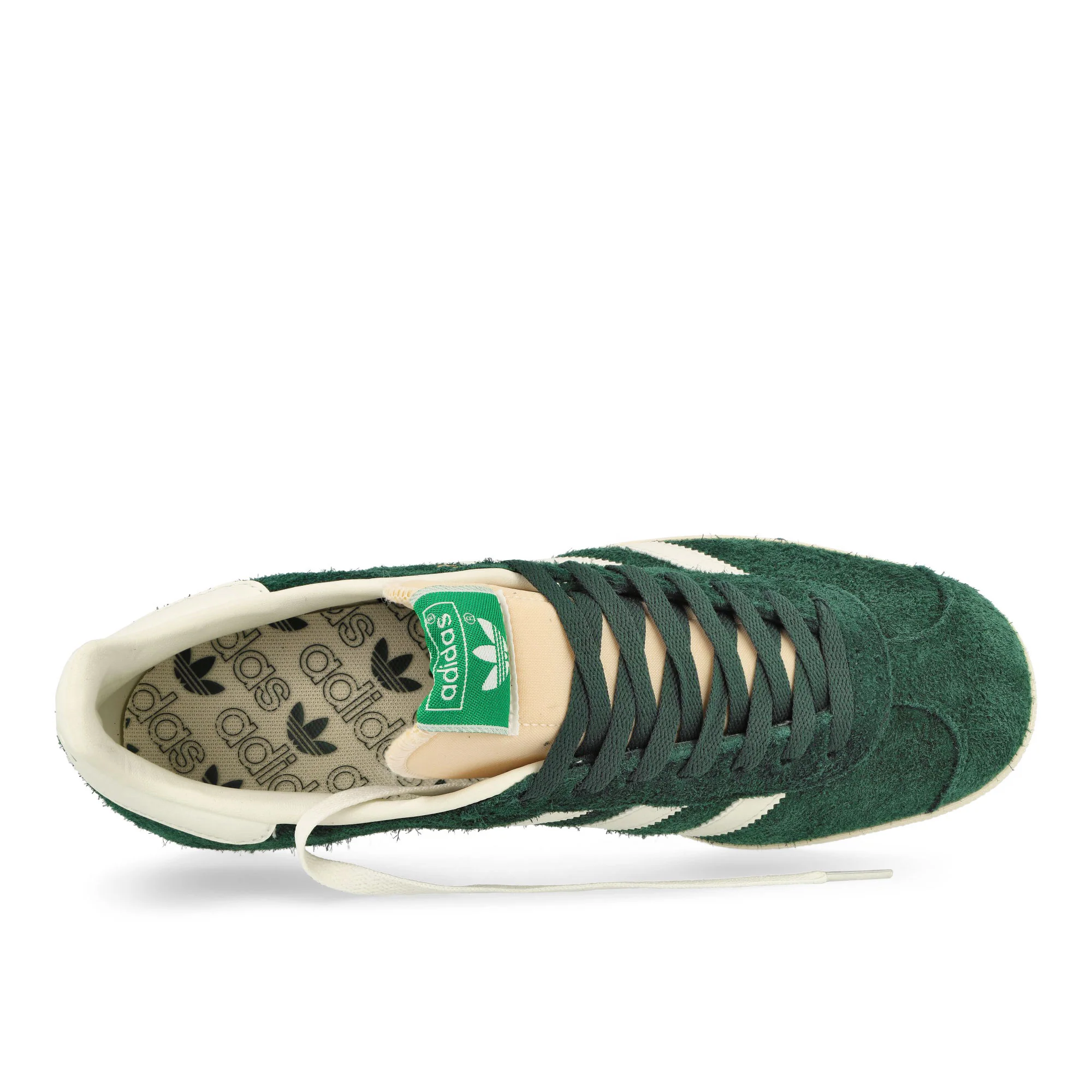 Gazelle - Image 5