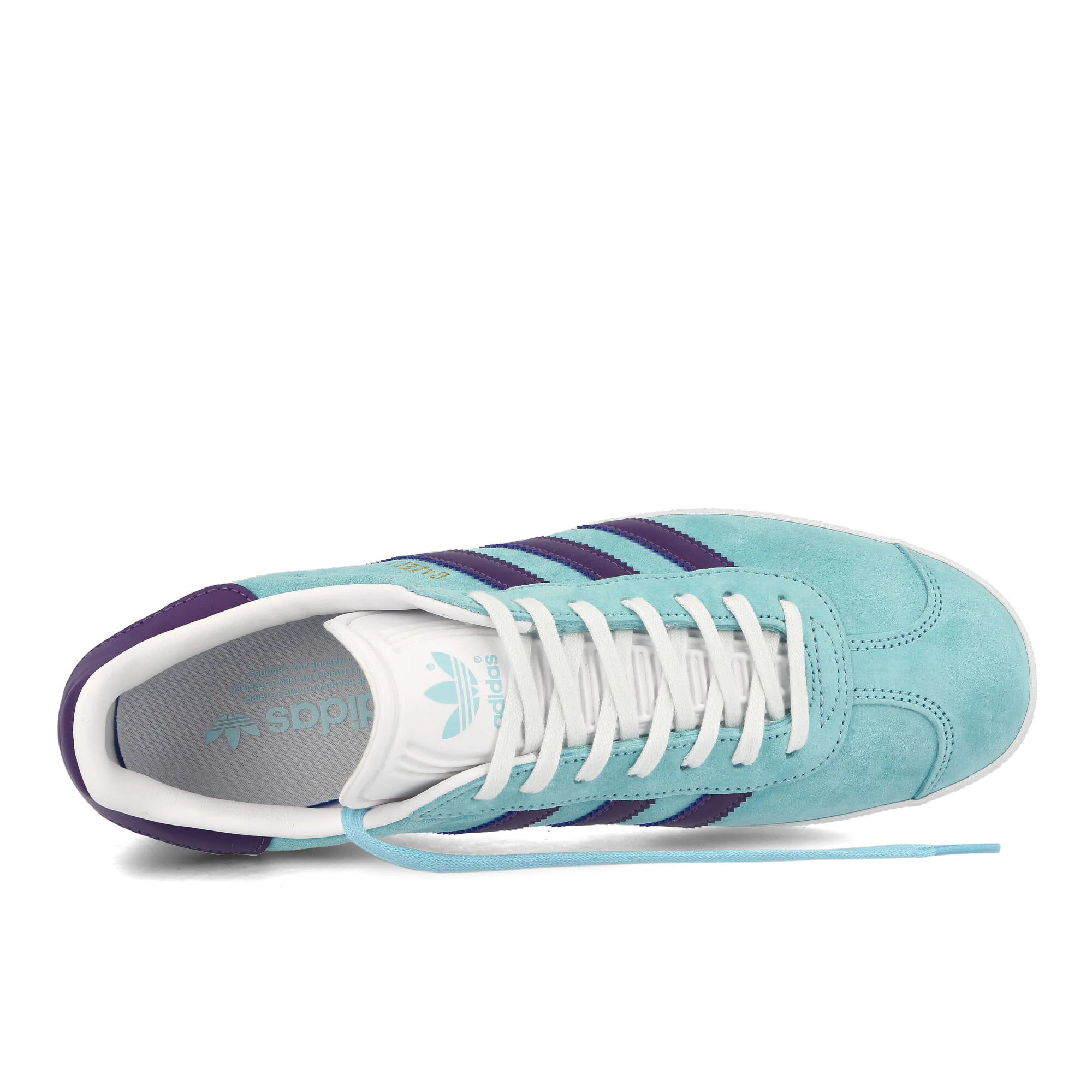 Gazelle - Image 5