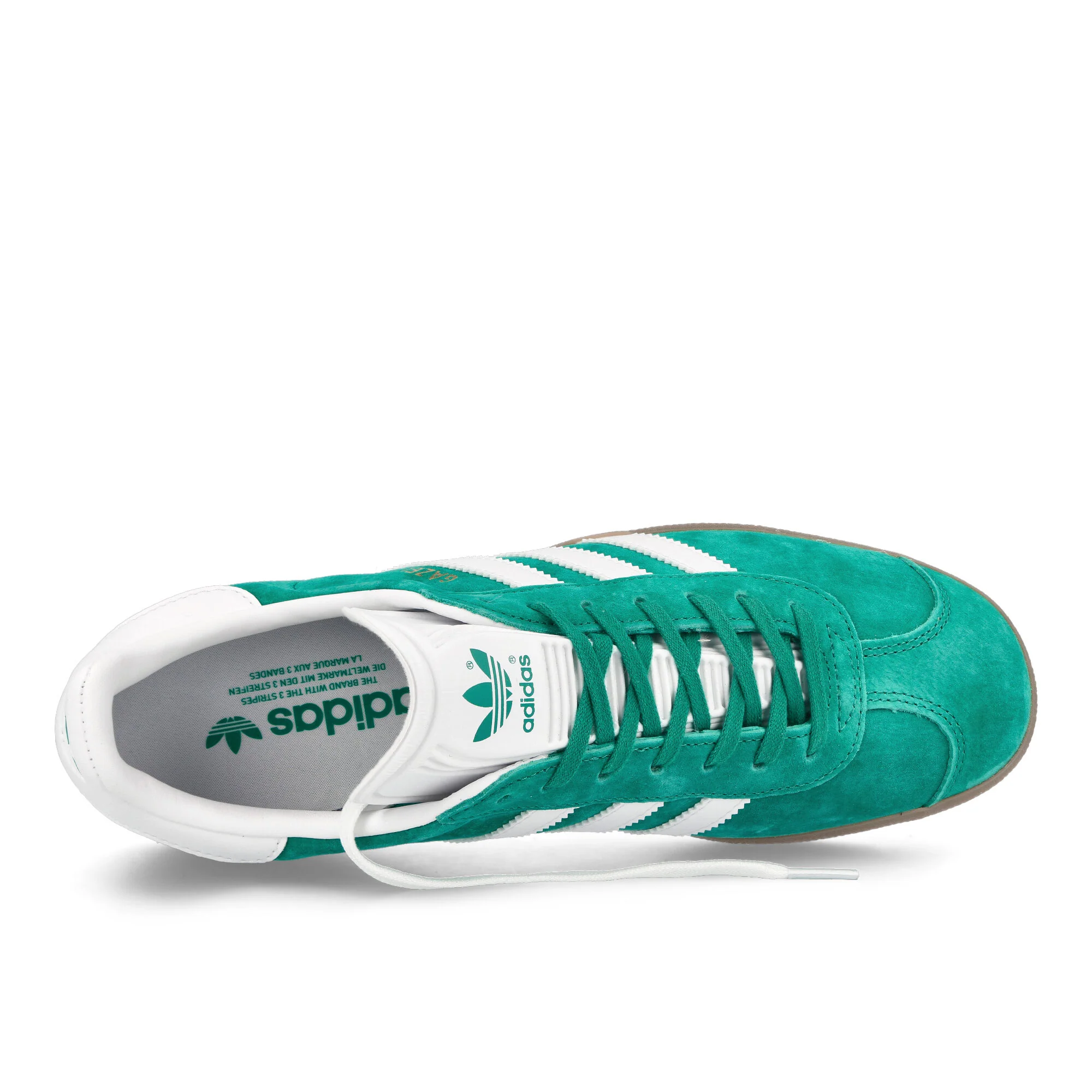 Gazelle - Image 5