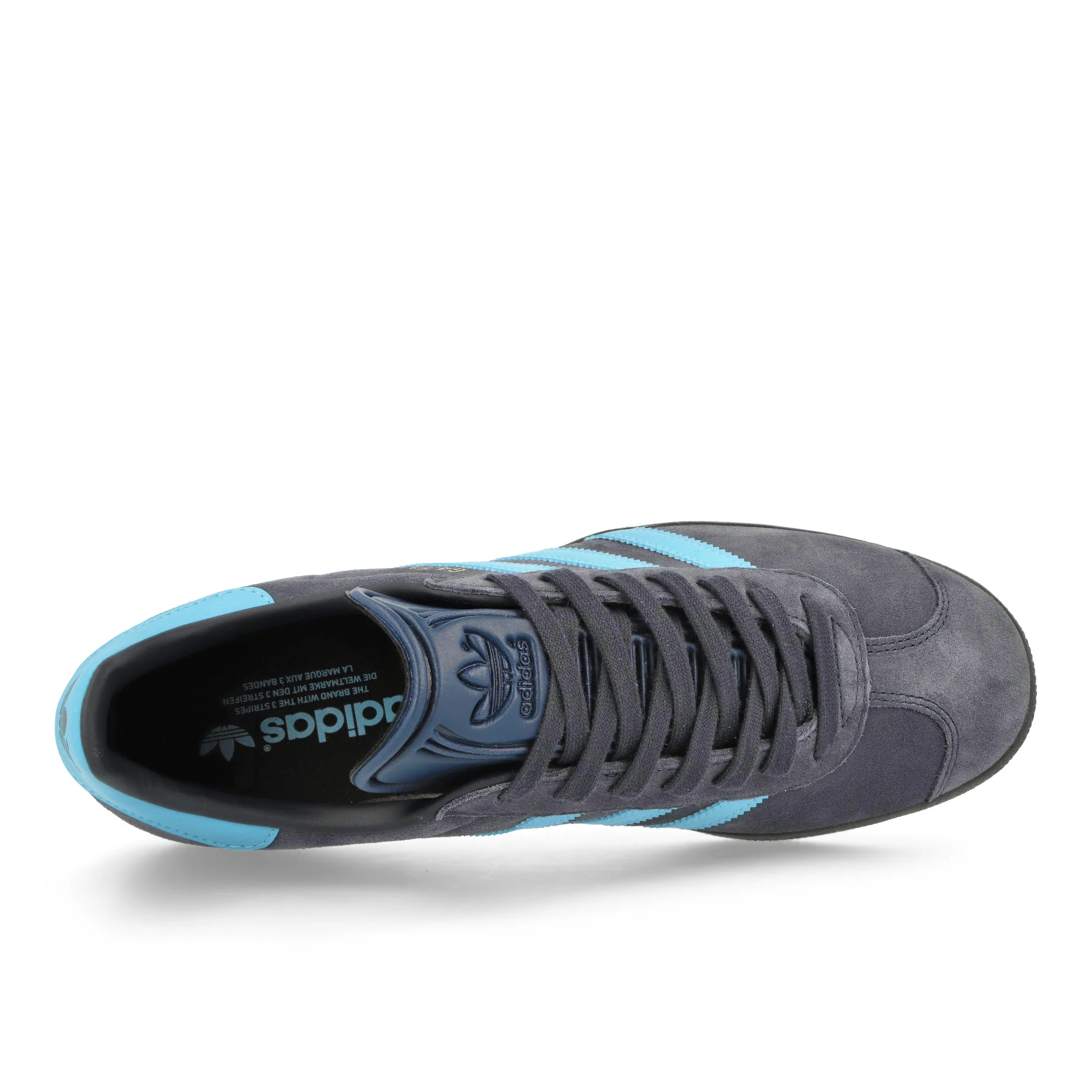 Gazelle - Image 5