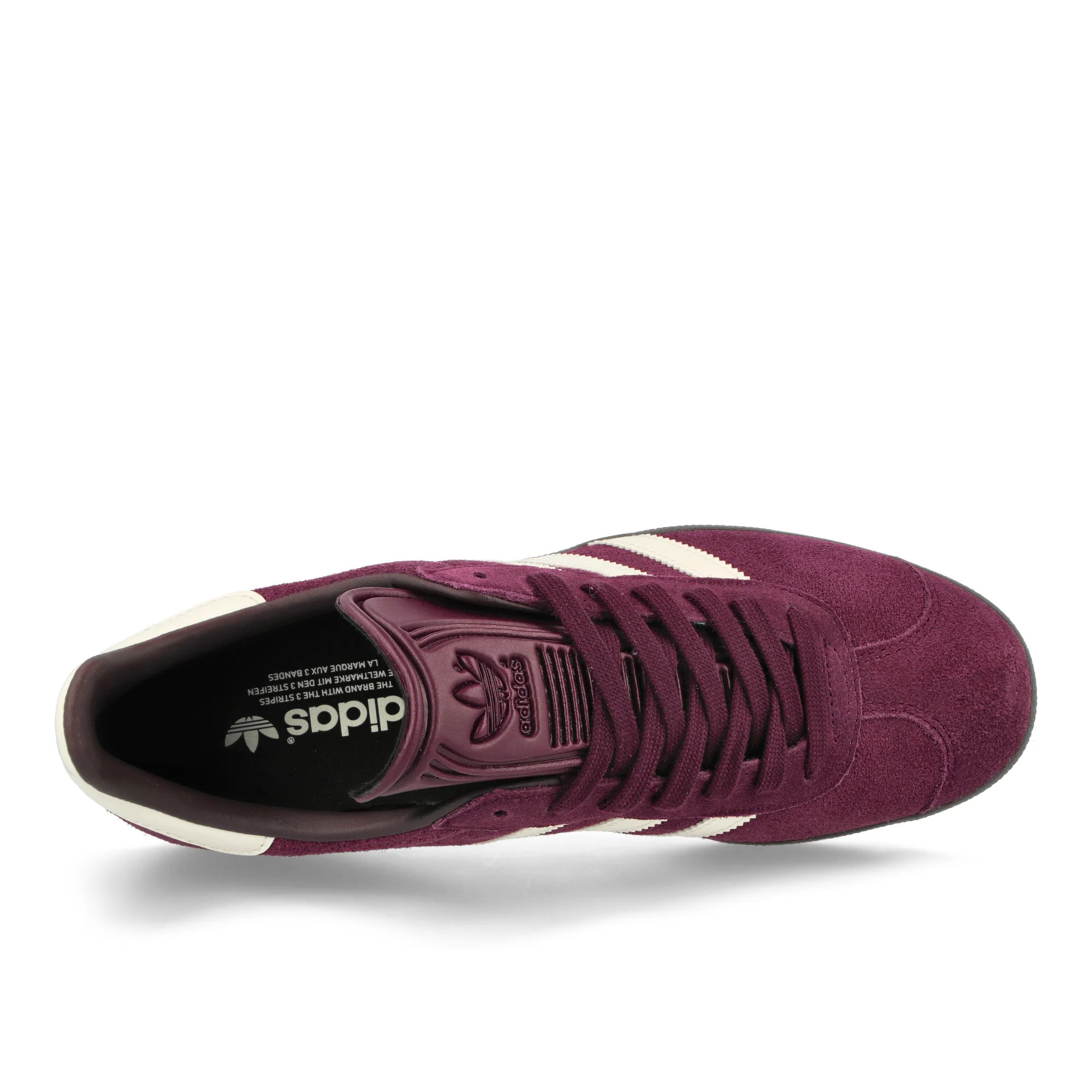 Gazelle - Image 5