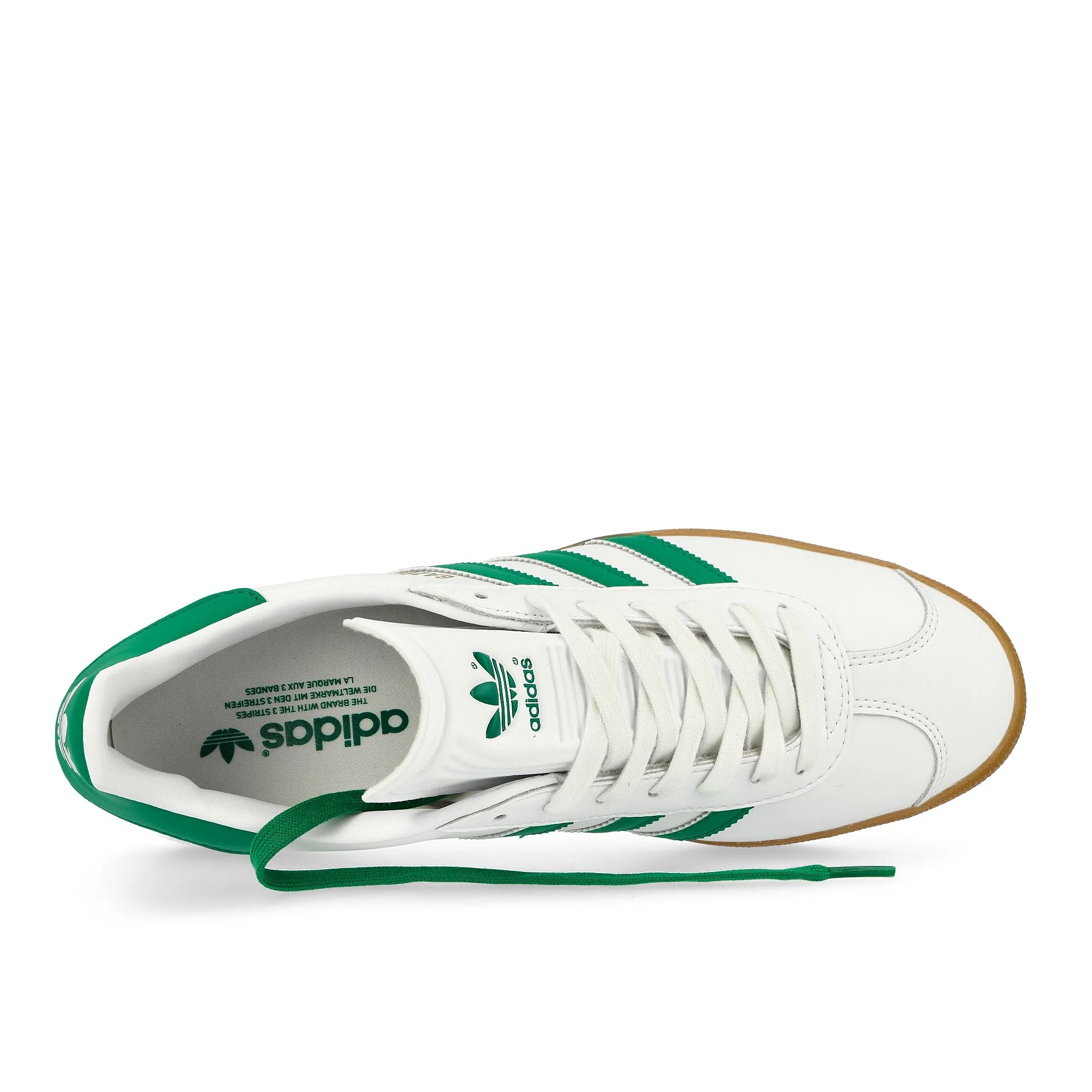 Gazelle - Image 5