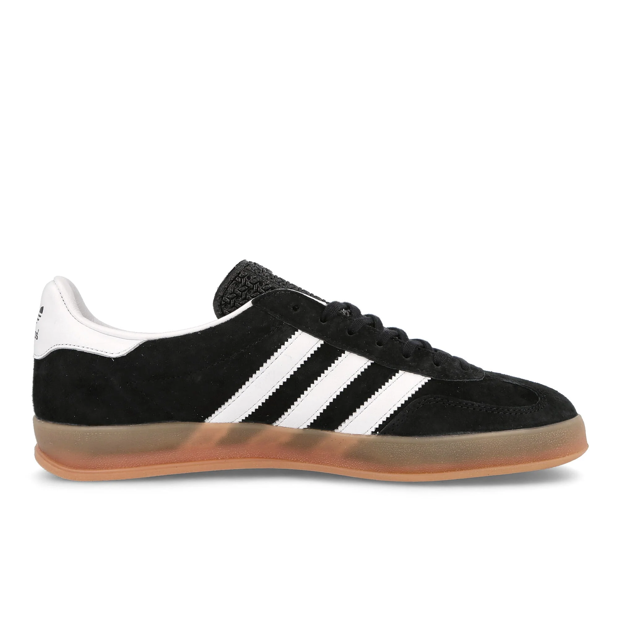 gazelle indoor - Image 2