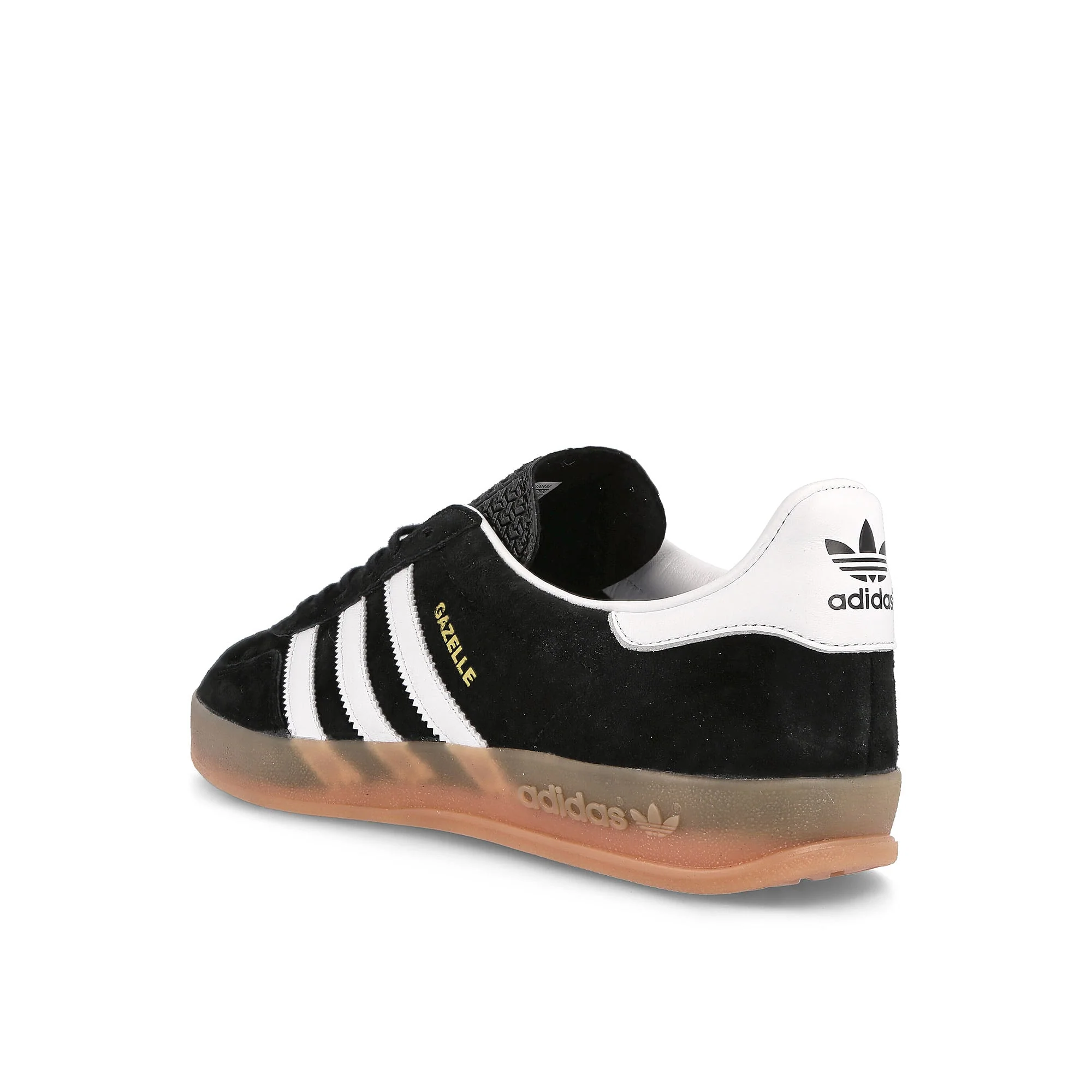 gazelle indoor - Image 3