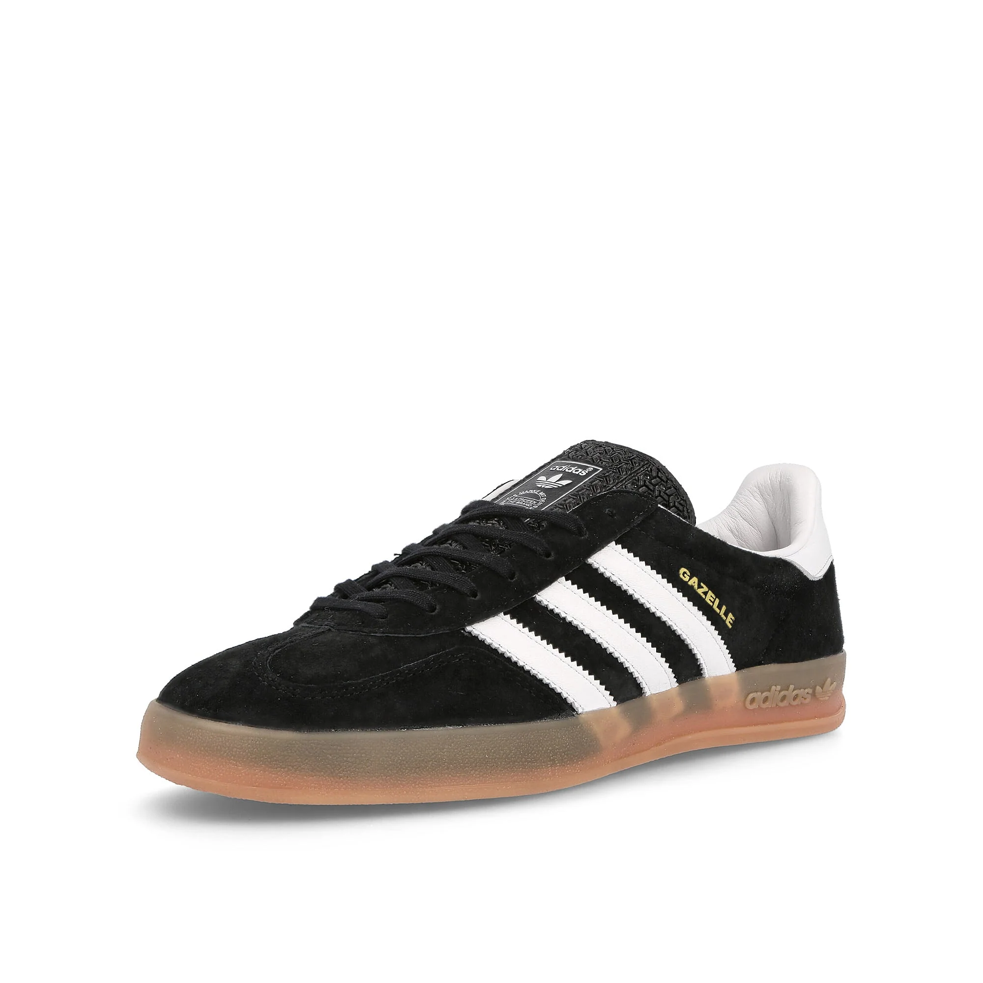 gazelle indoor - Image 4