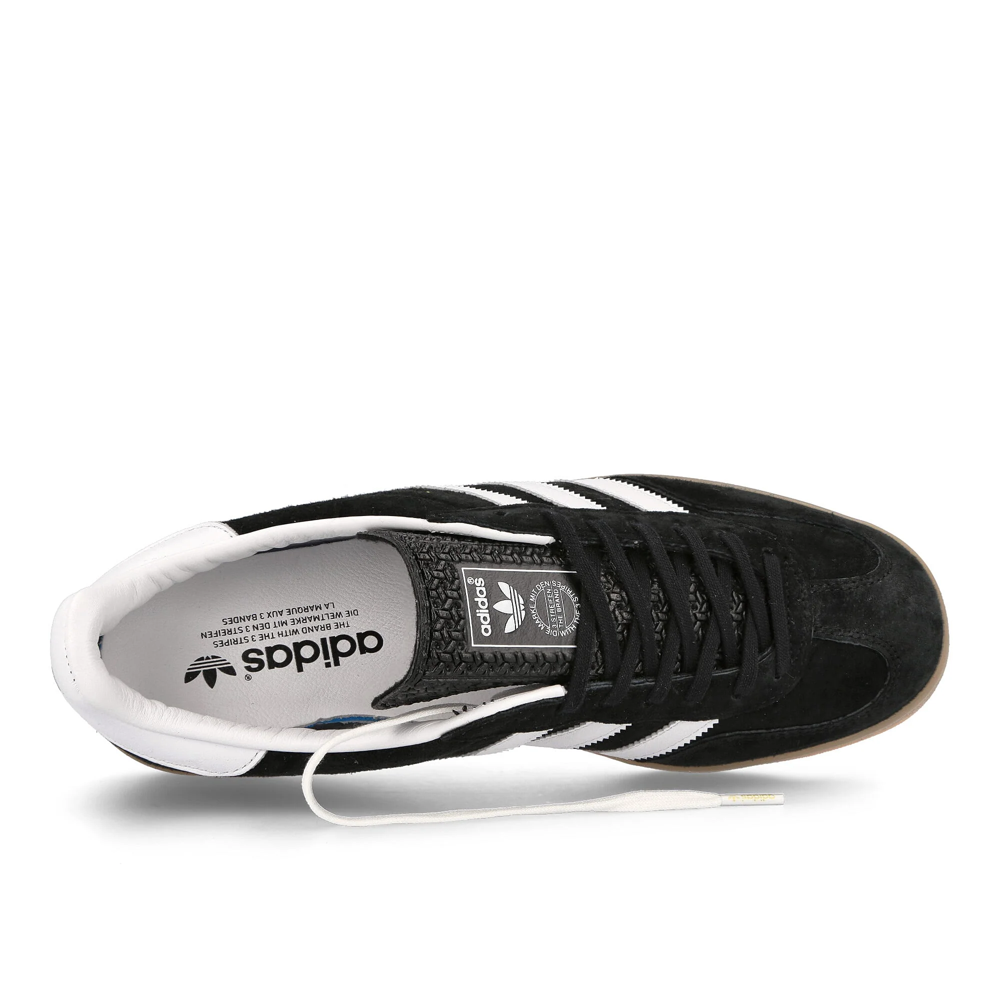 gazelle indoor - Image 5
