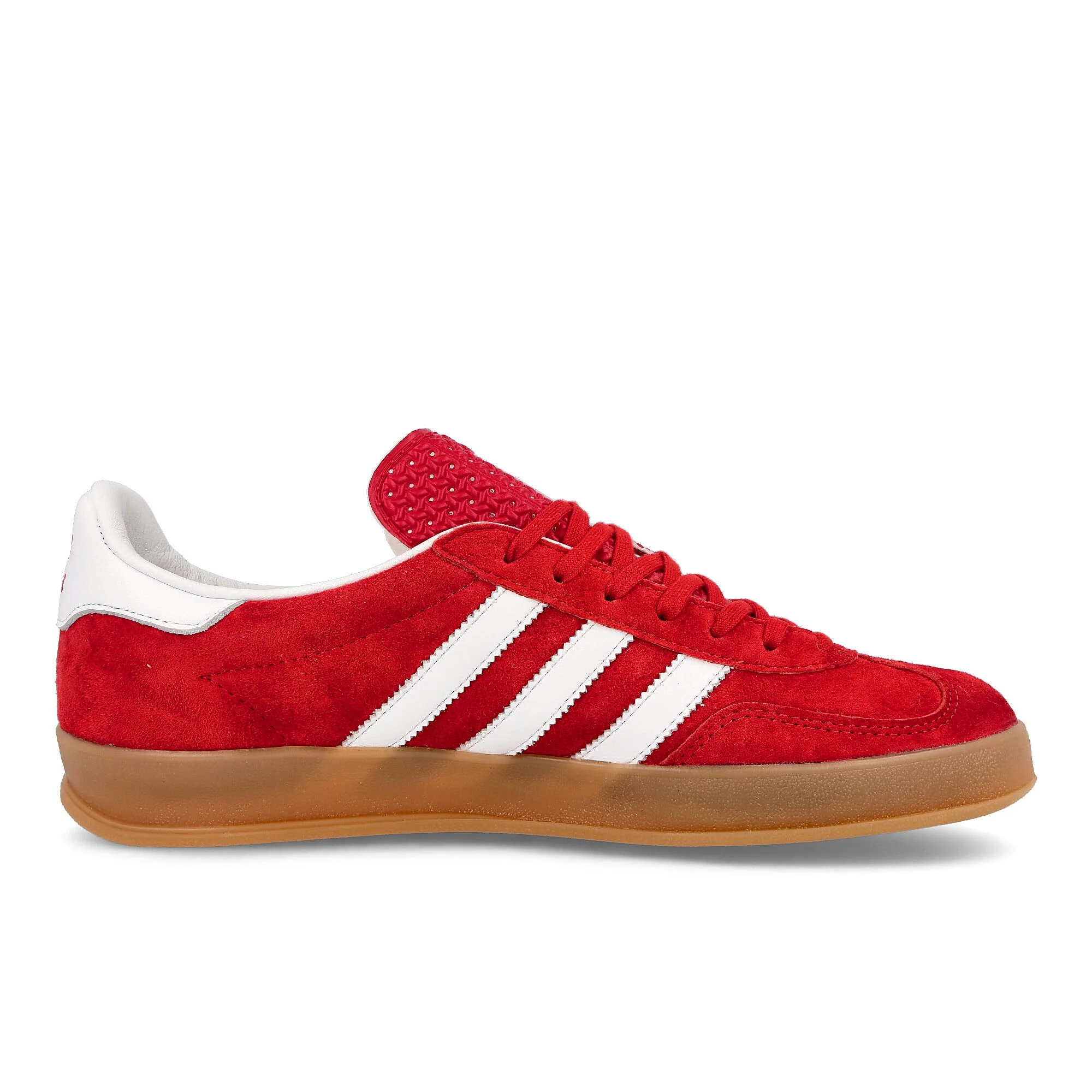 gazelle indoor - Image 2