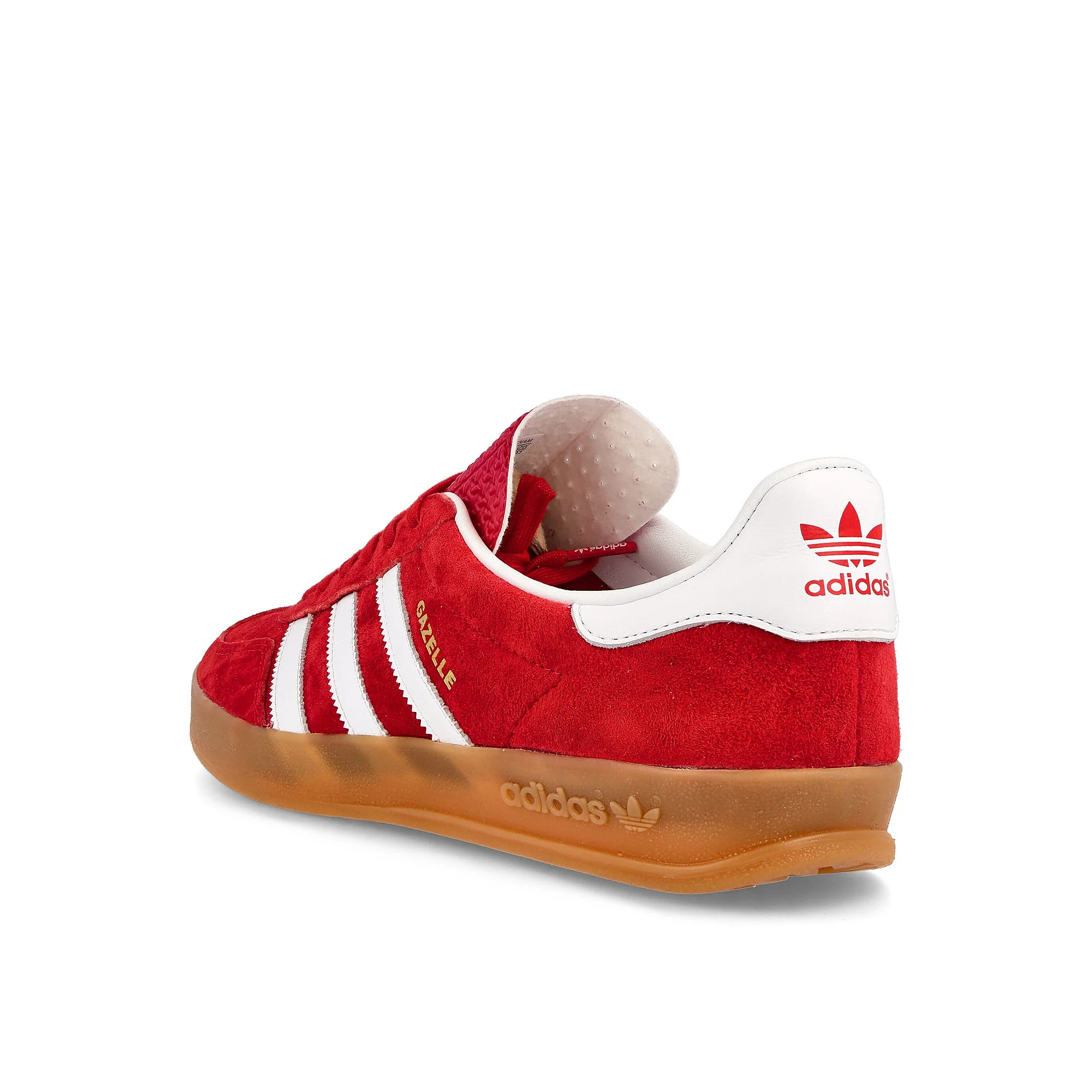 gazelle indoor - Image 3
