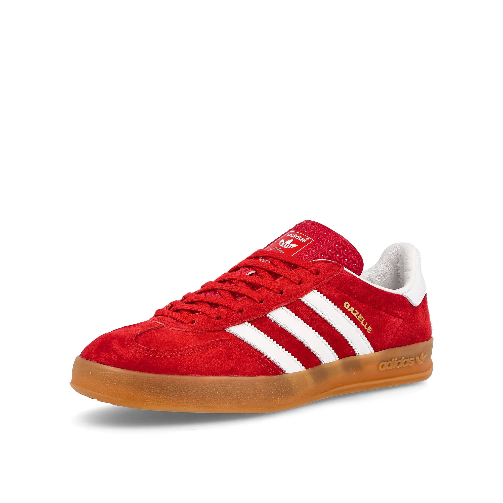 gazelle indoor - Image 4