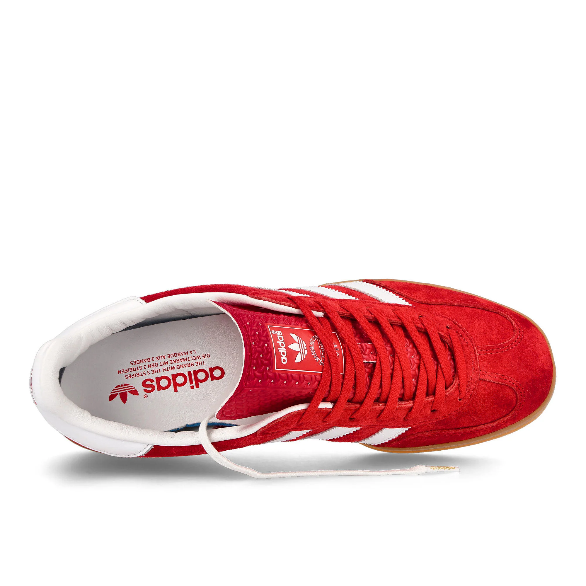 gazelle indoor - Image 5