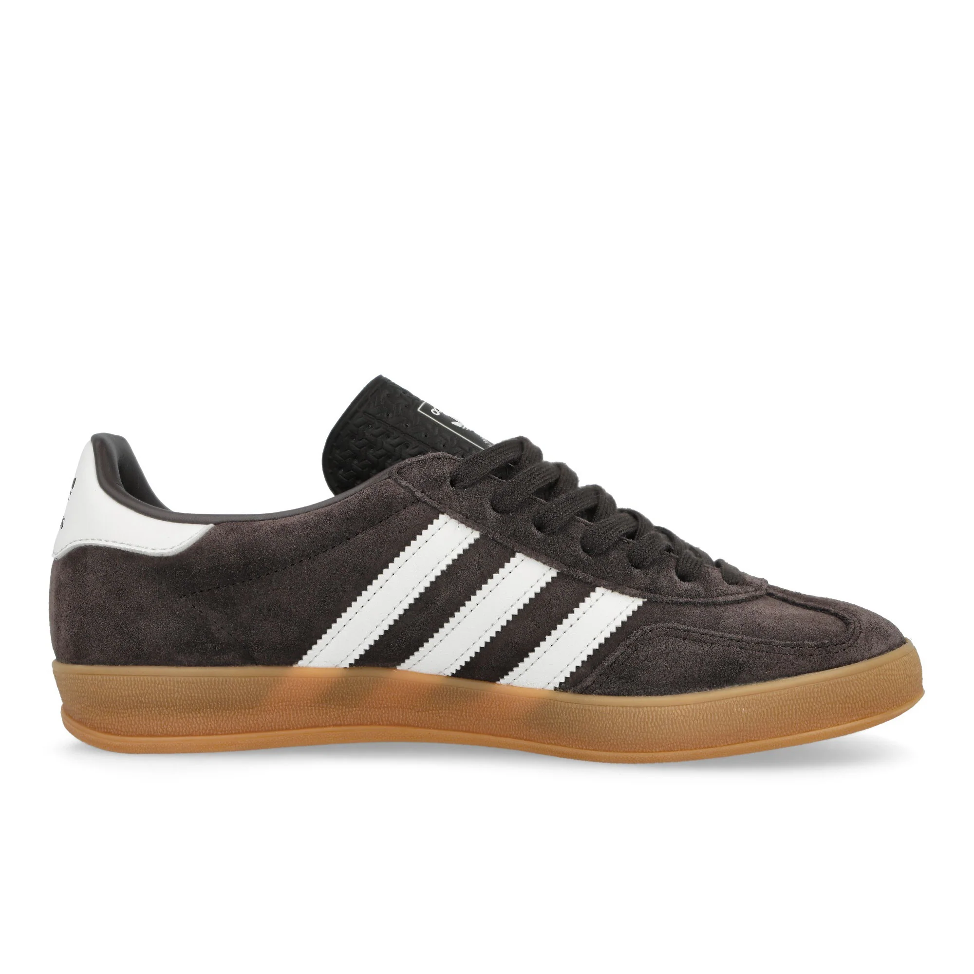 Gazelle Indoor - Image 2