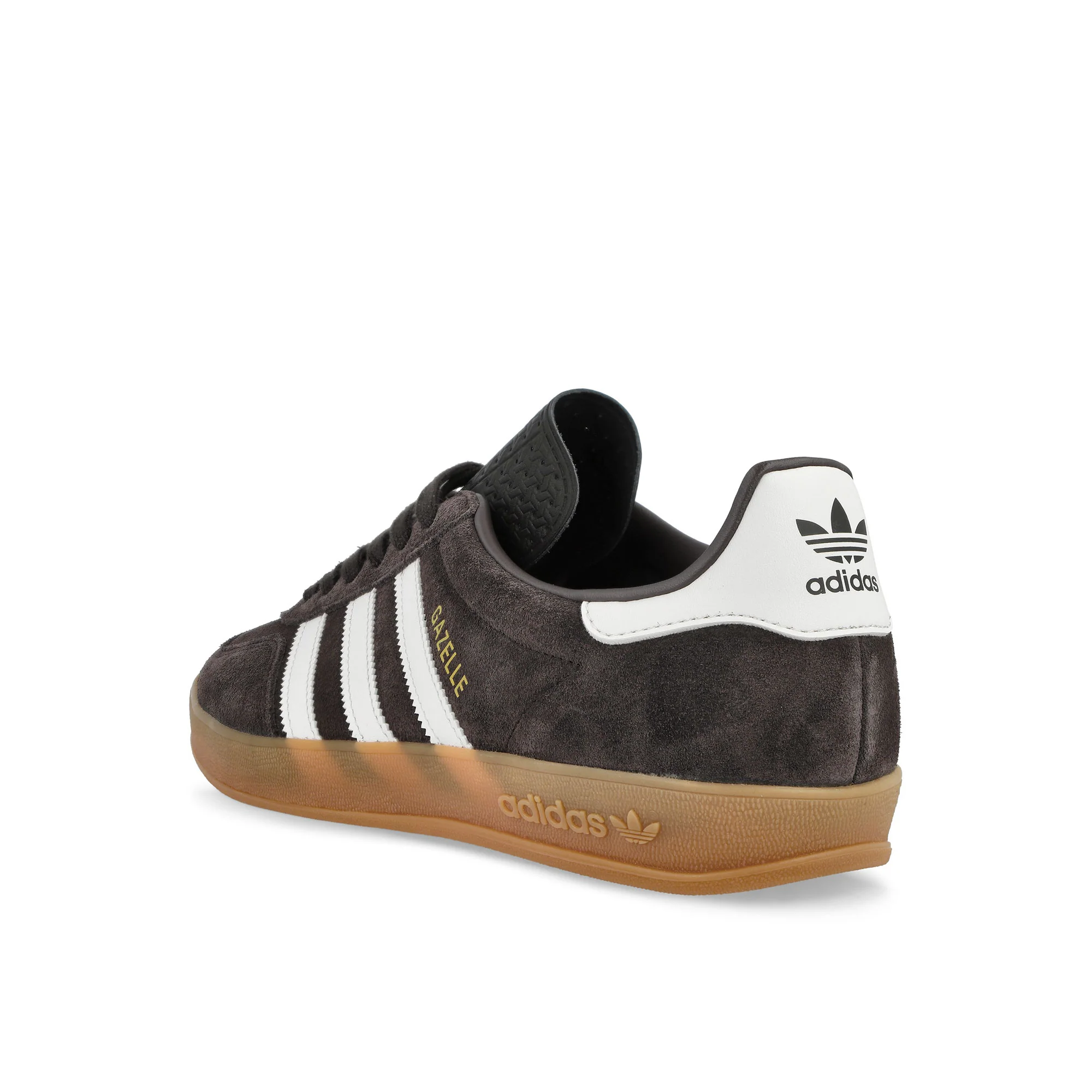 Gazelle Indoor - Image 3