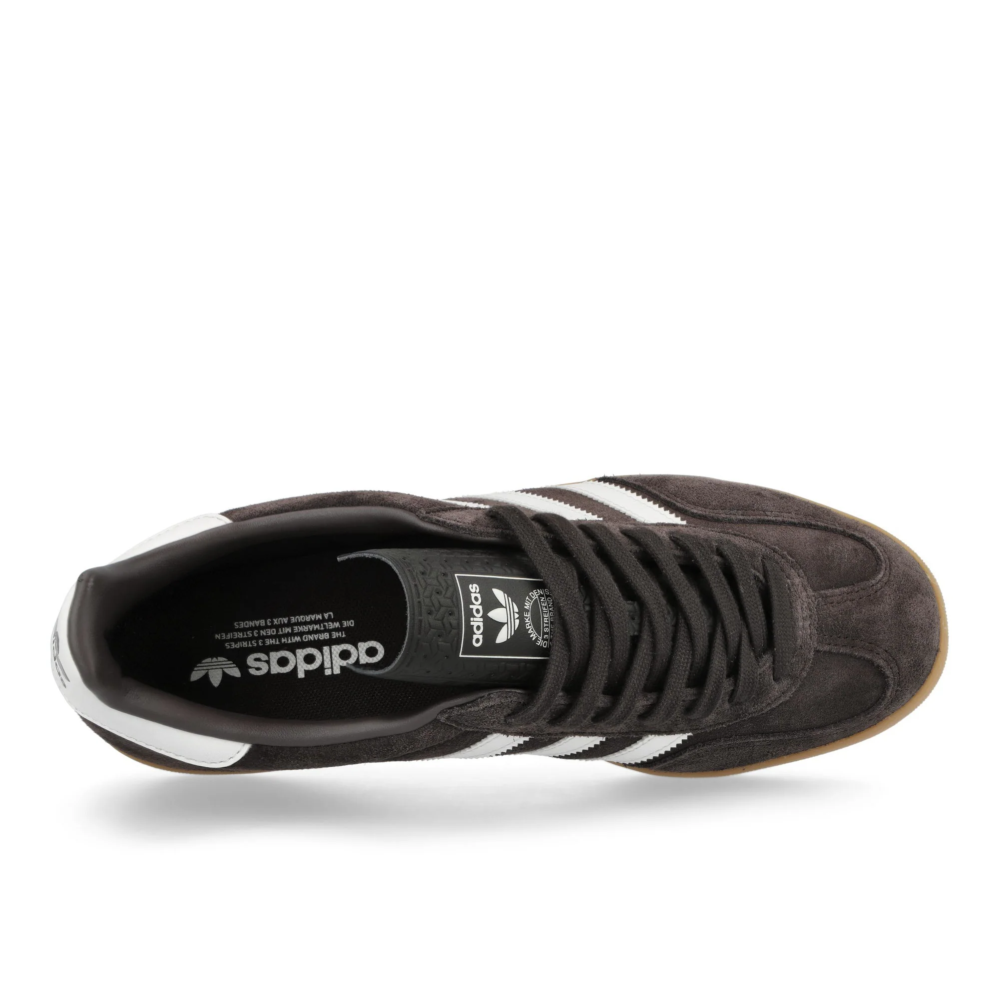 Gazelle Indoor - Image 5